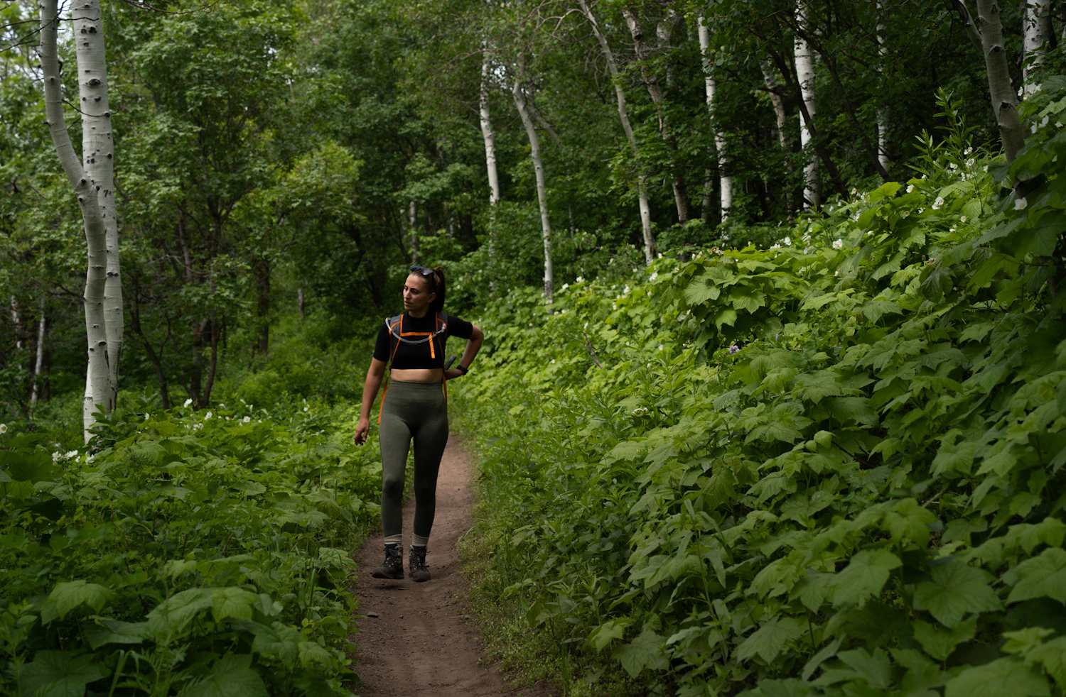 Person auf einem grünen Wanderweg als Symbol für langfristigen Rauchfrei-Fortschritt