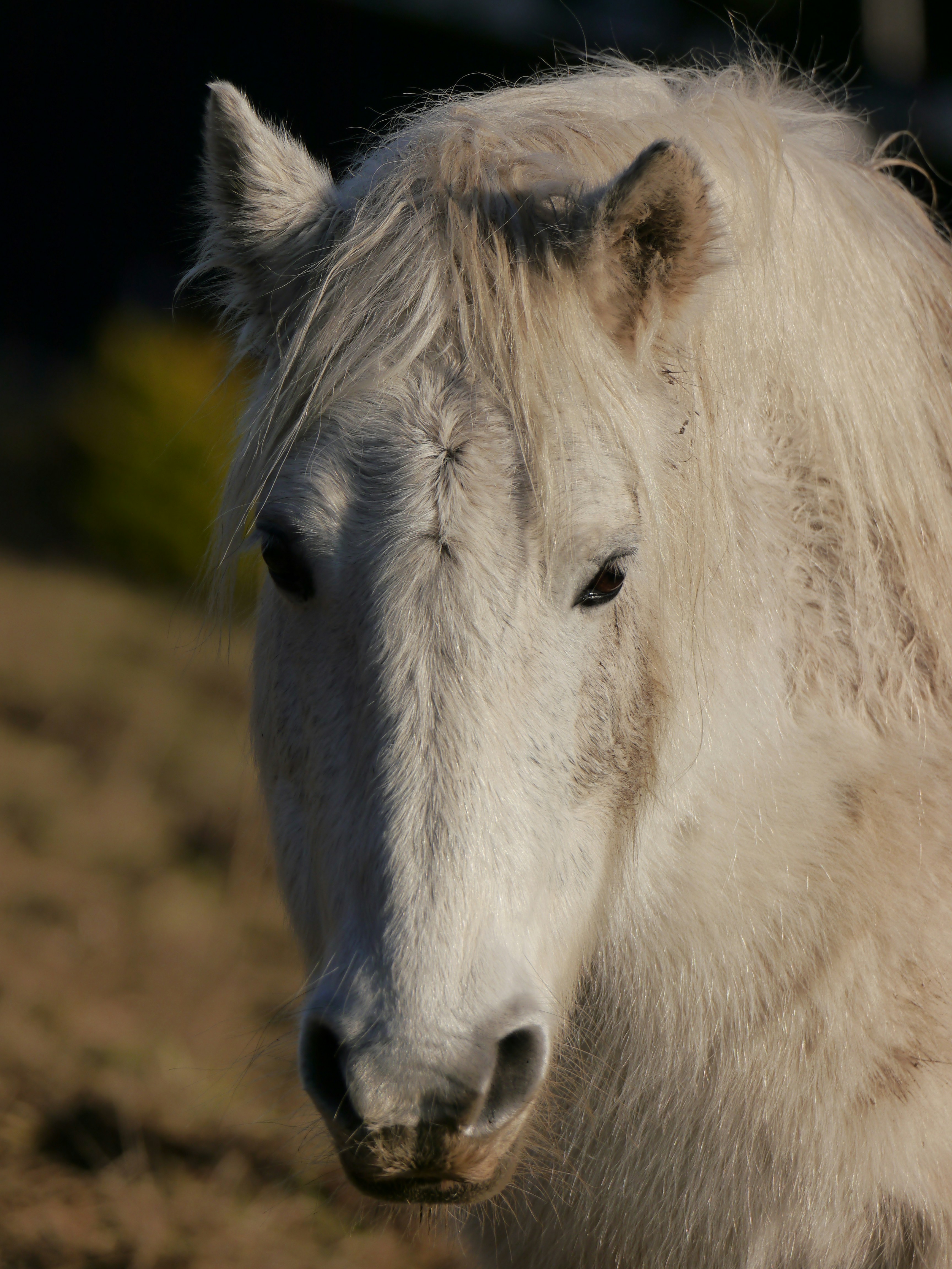 Photo by iqsphotography