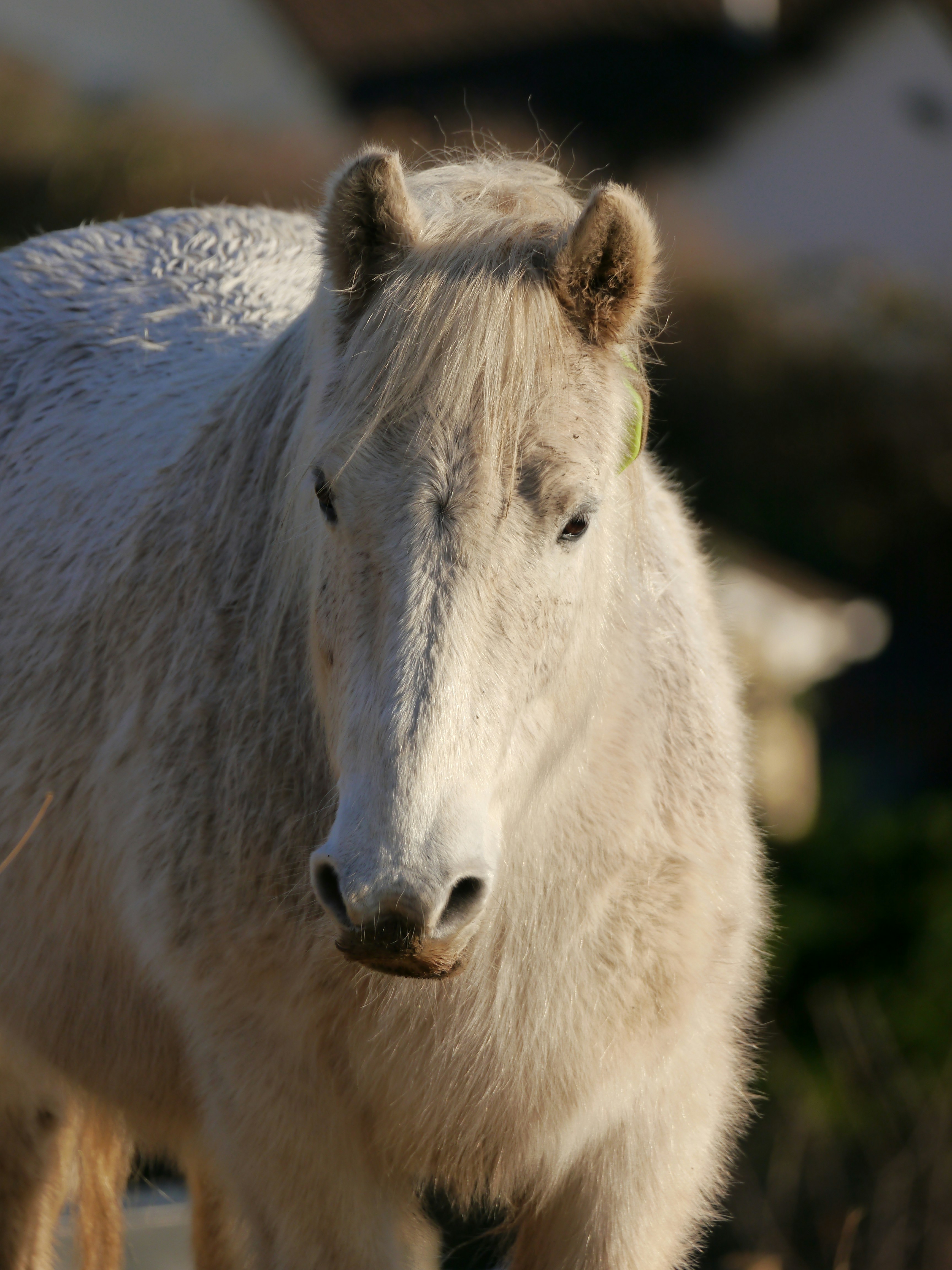 Photo by iqsphotography