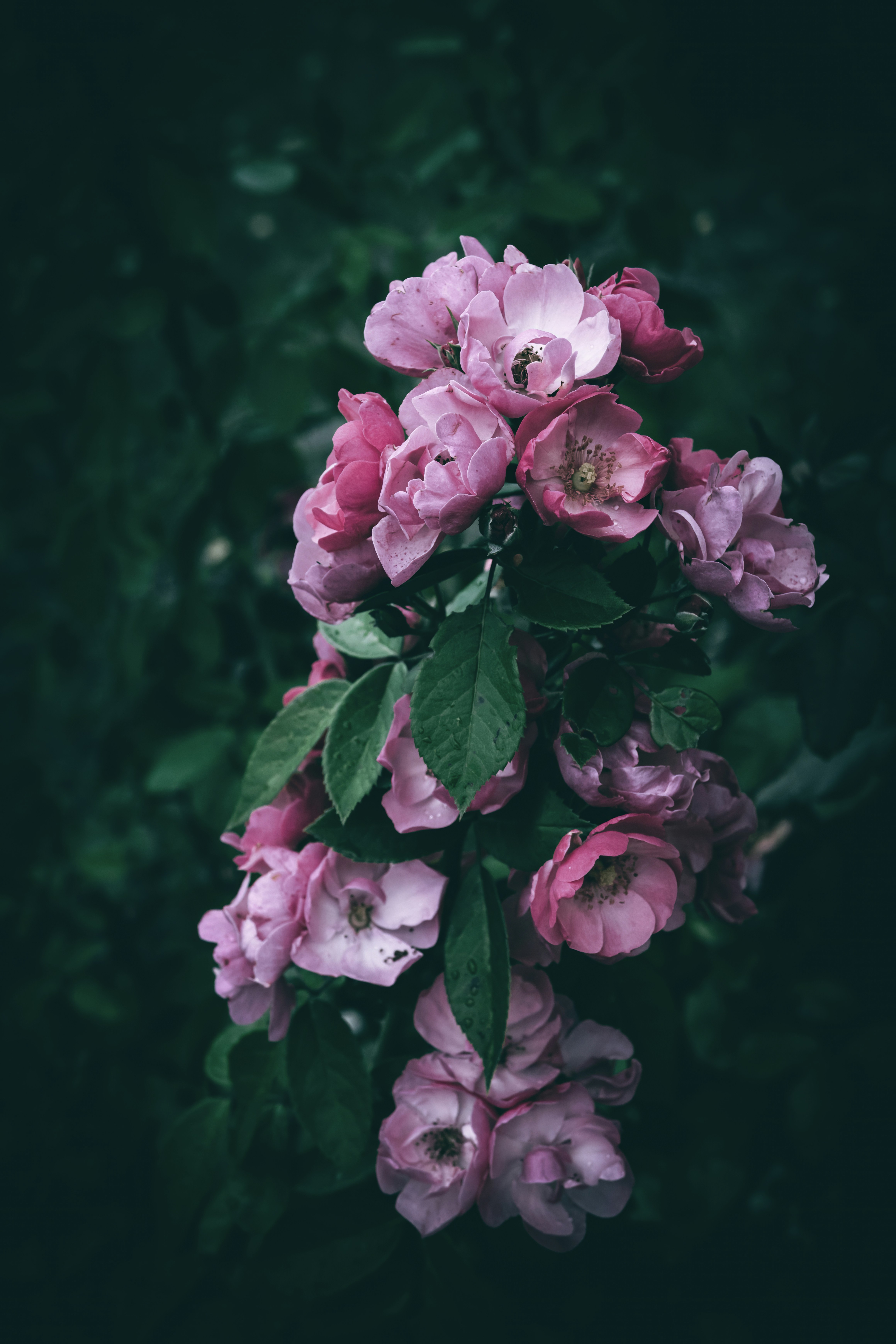 Photo by wyxina