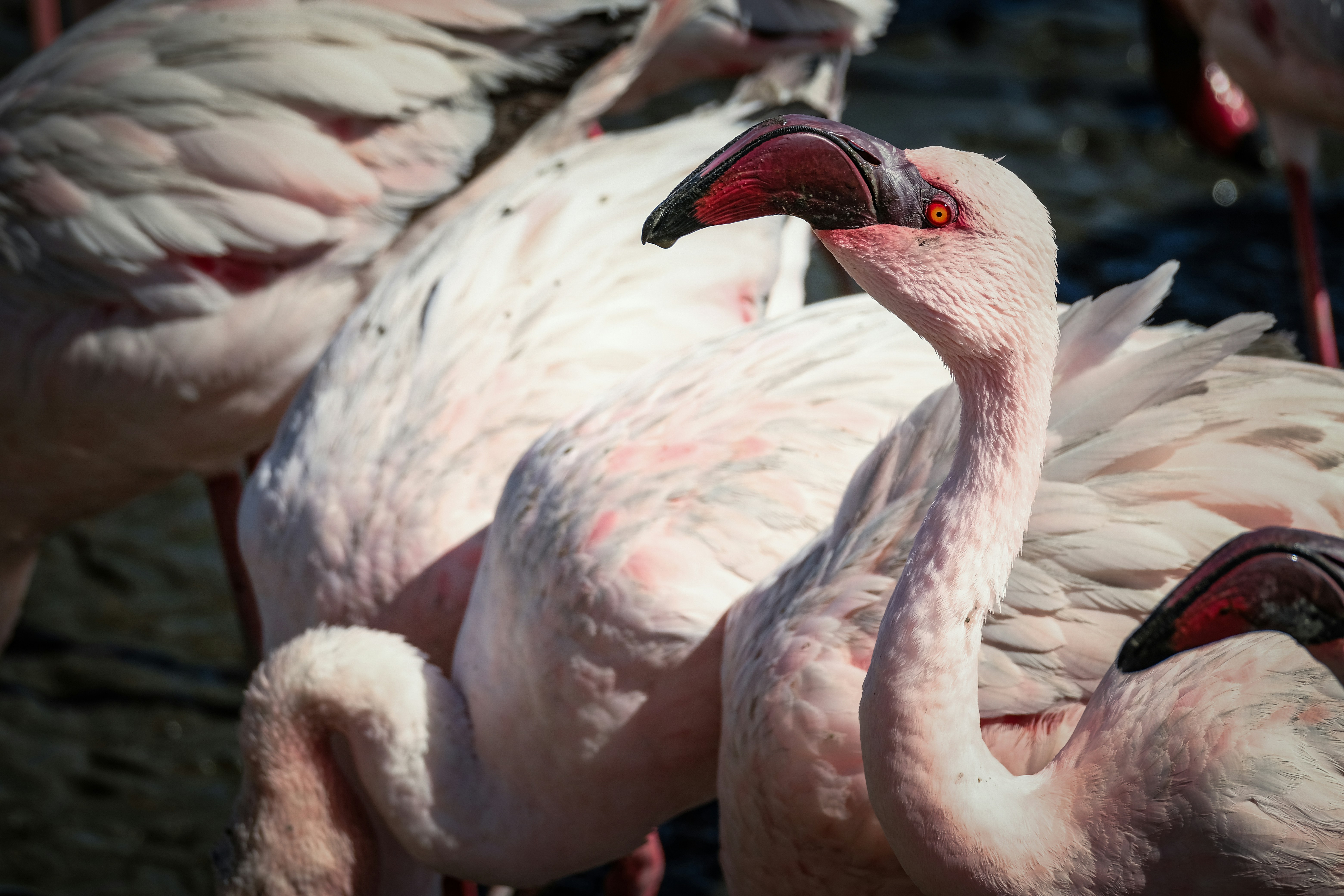 Photo by francesco_ungaro