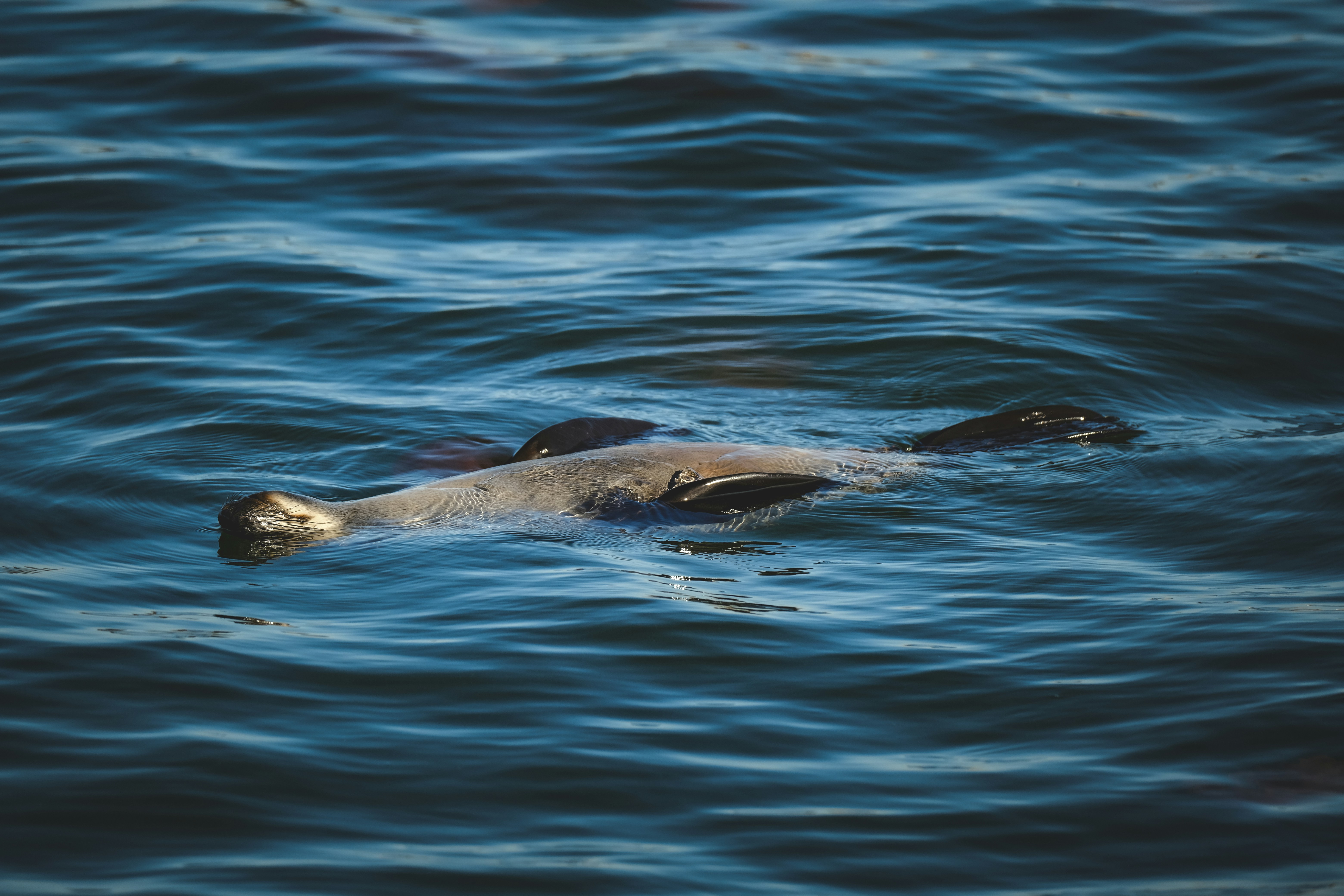 Photo by francesco_ungaro