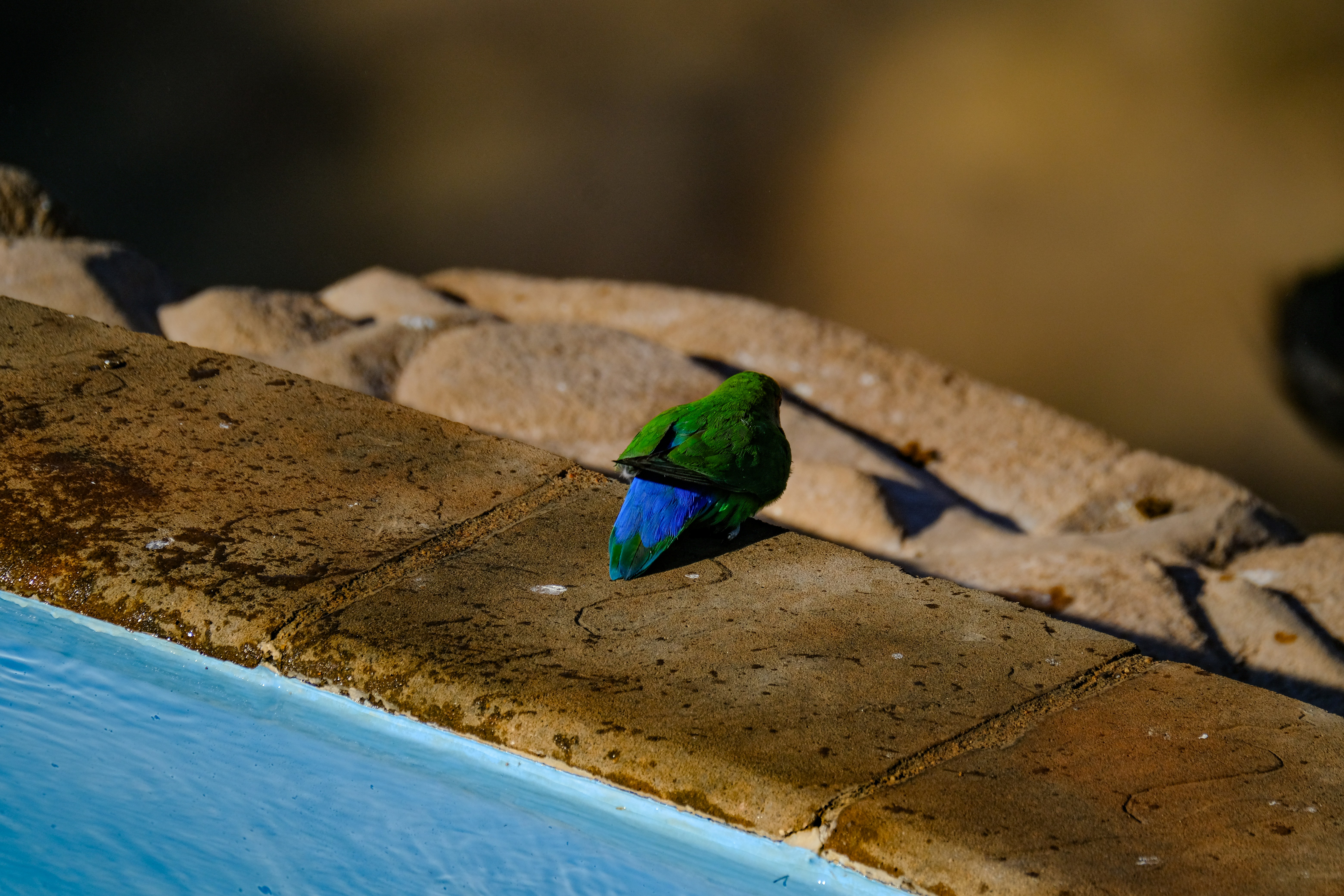 Photo by francesco_ungaro