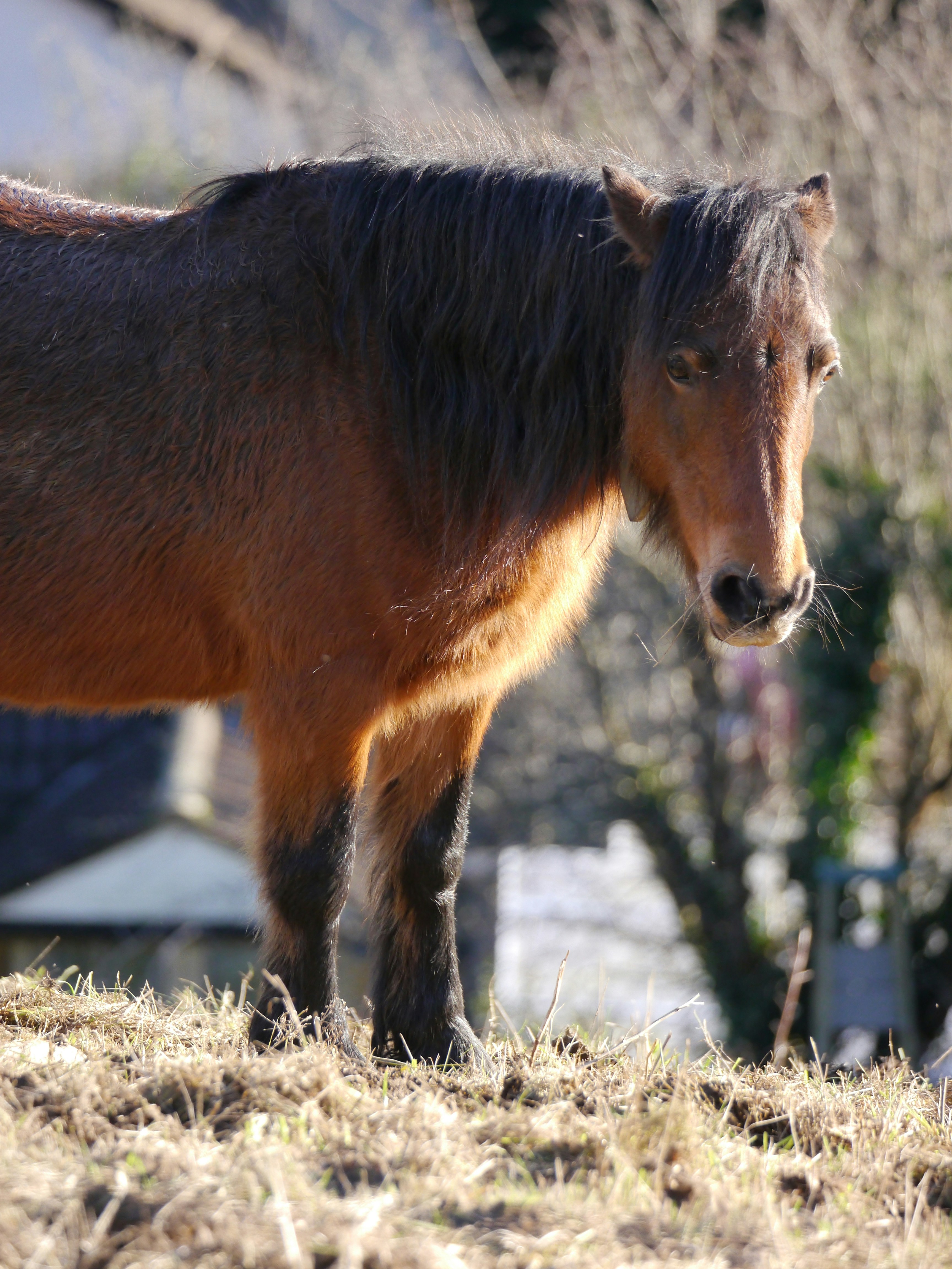 Photo by iqsphotography