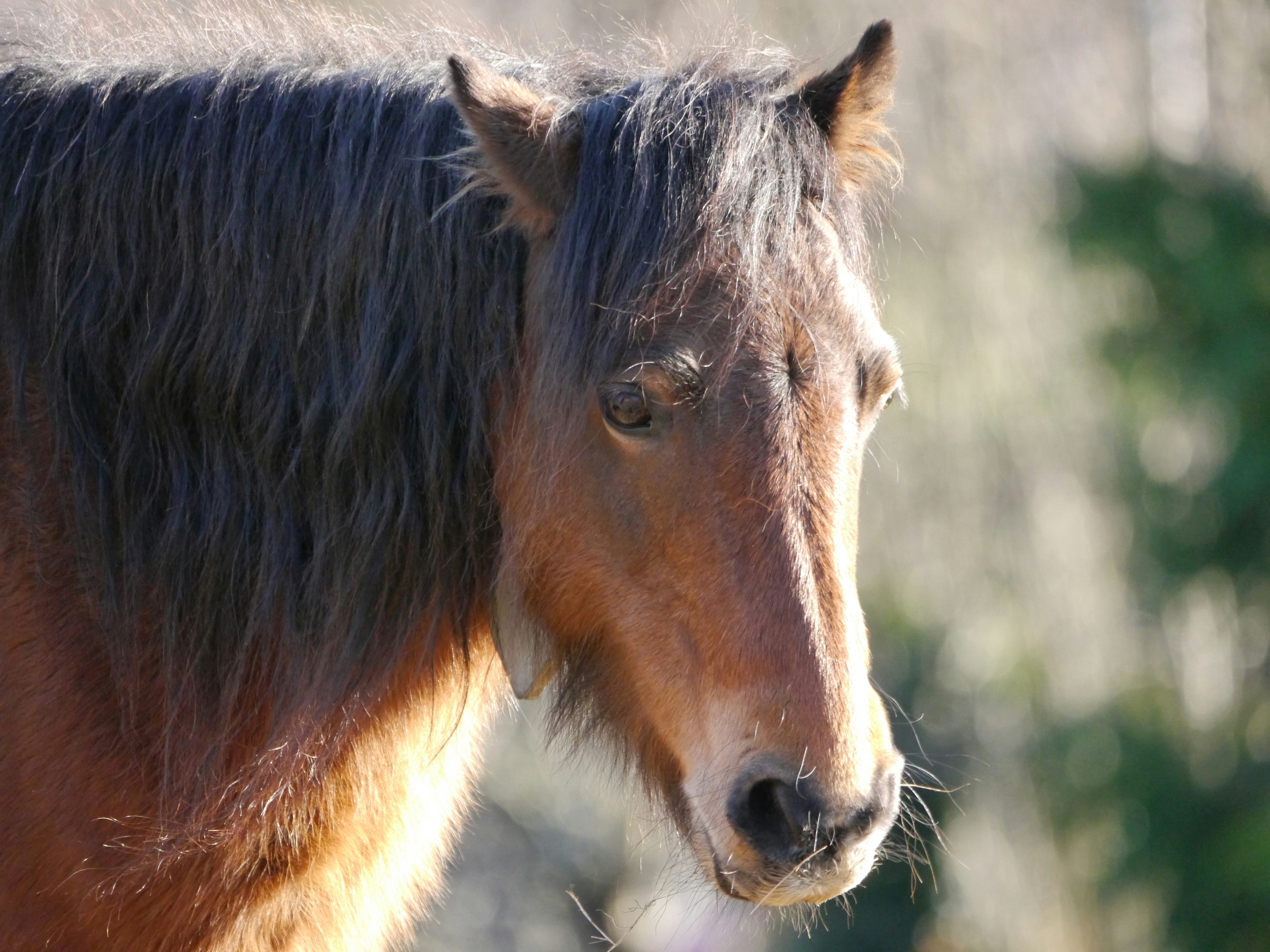 Photo by iqsphotography