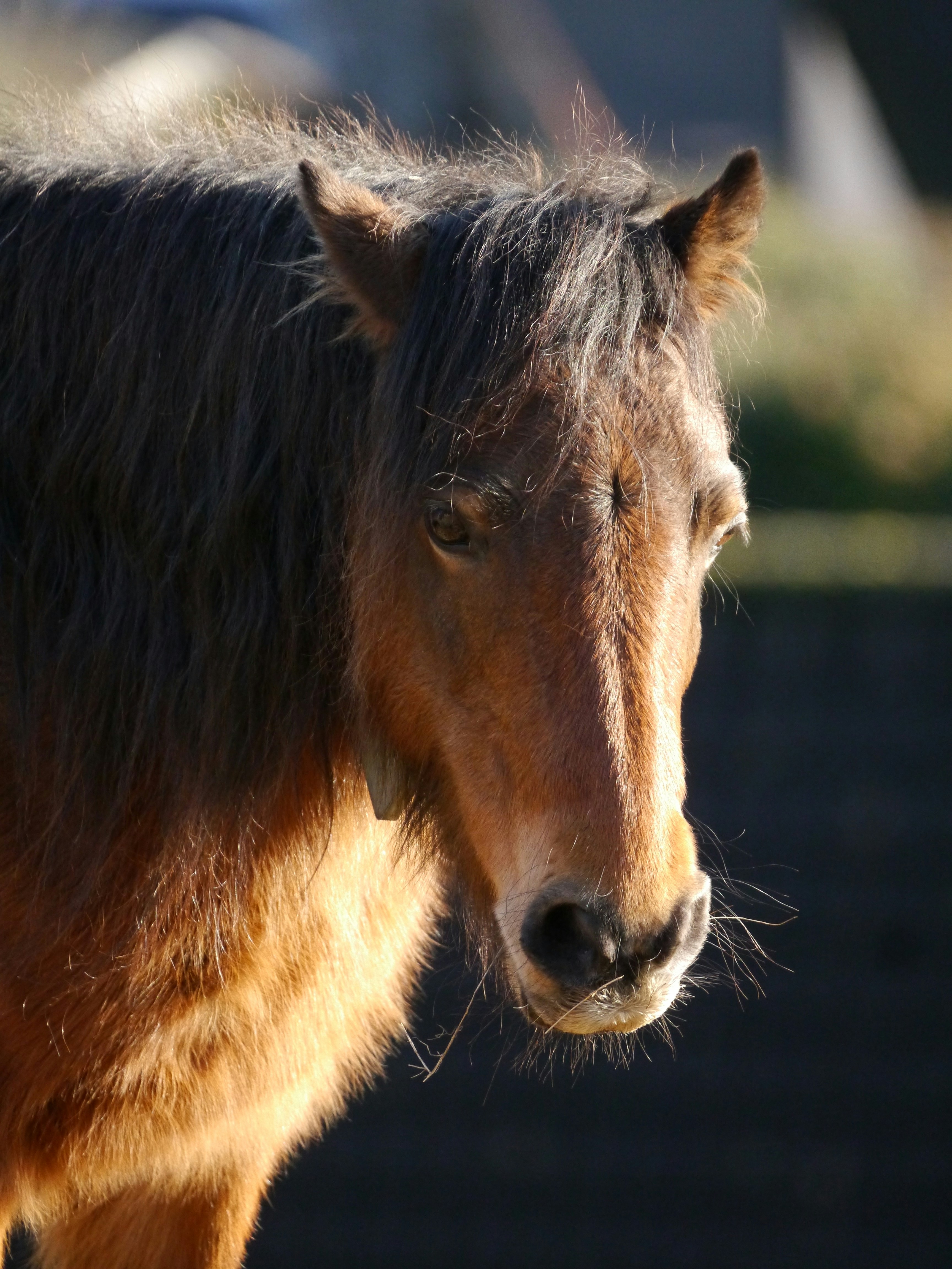 Photo by iqsphotography