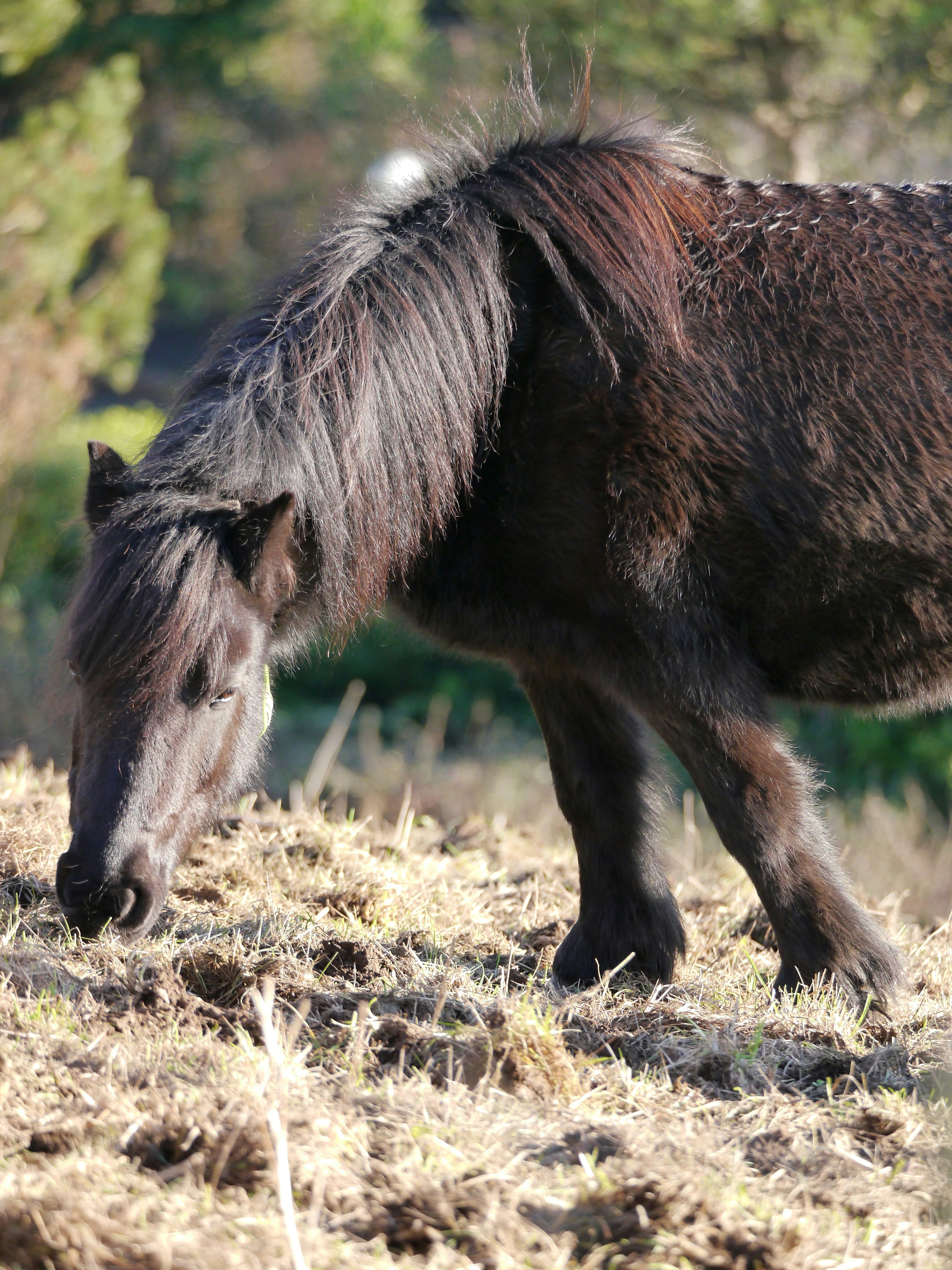 Photo by iqsphotography