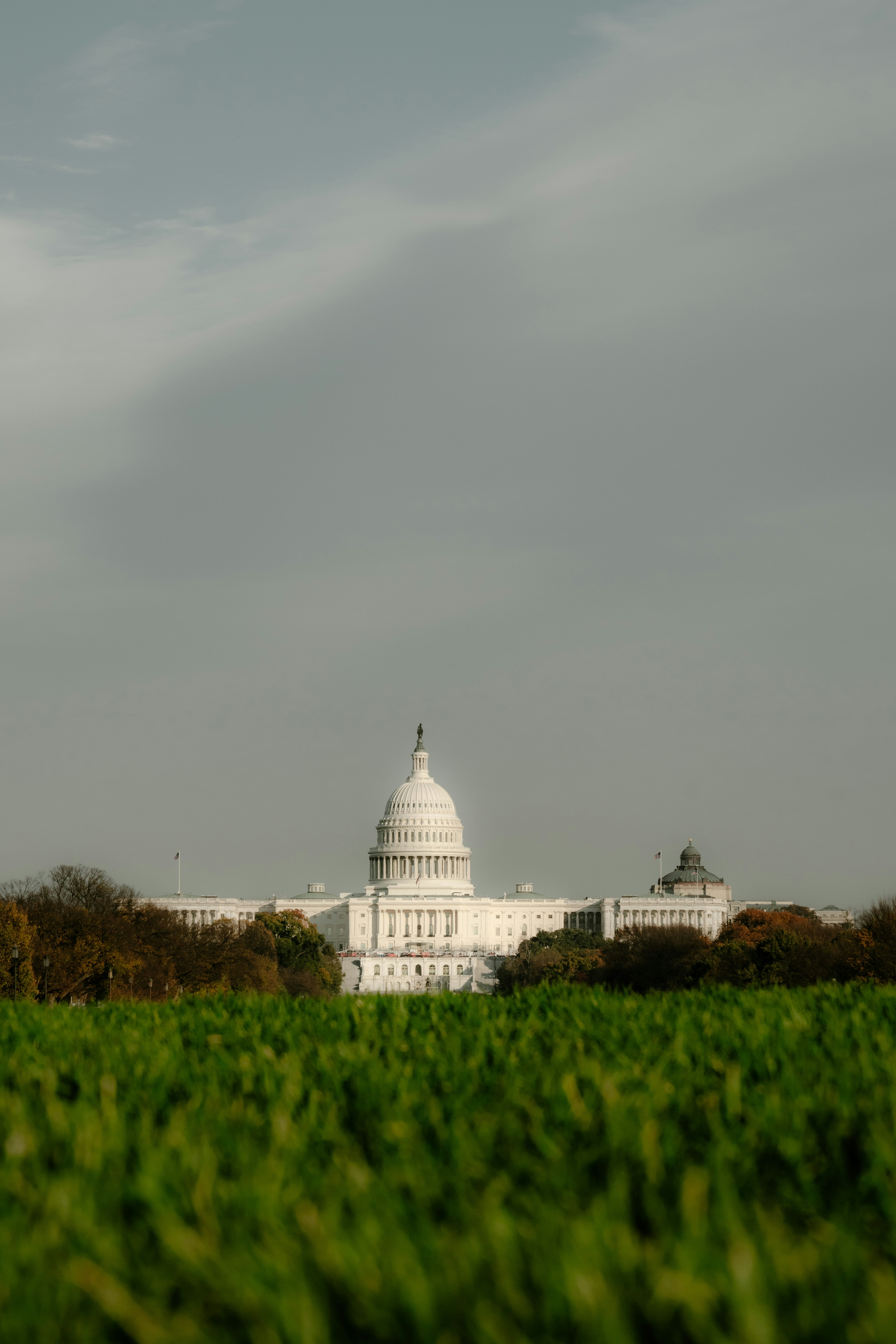 フィールドの向こう側から国会議事堂を望む