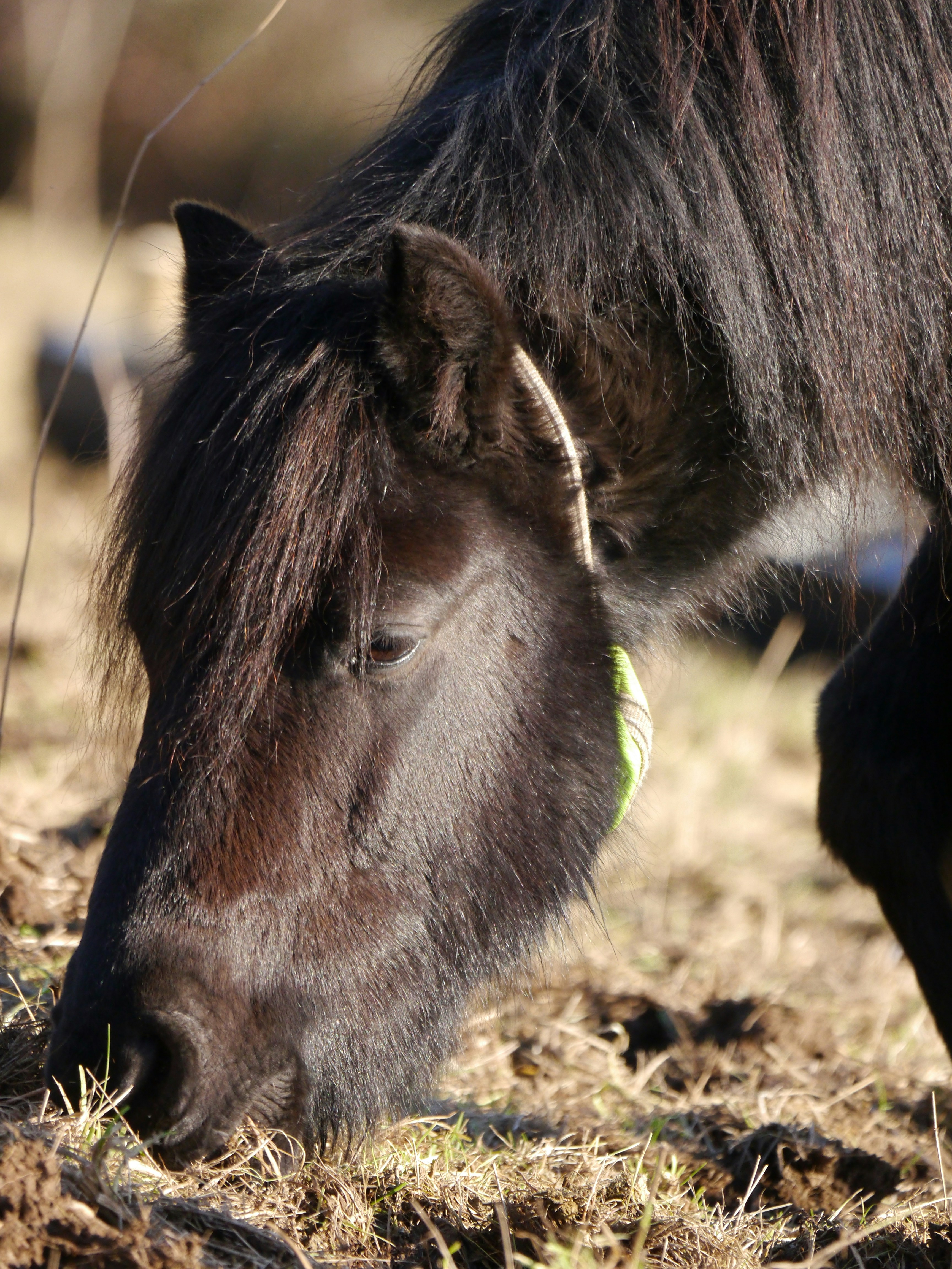 Photo by iqsphotography