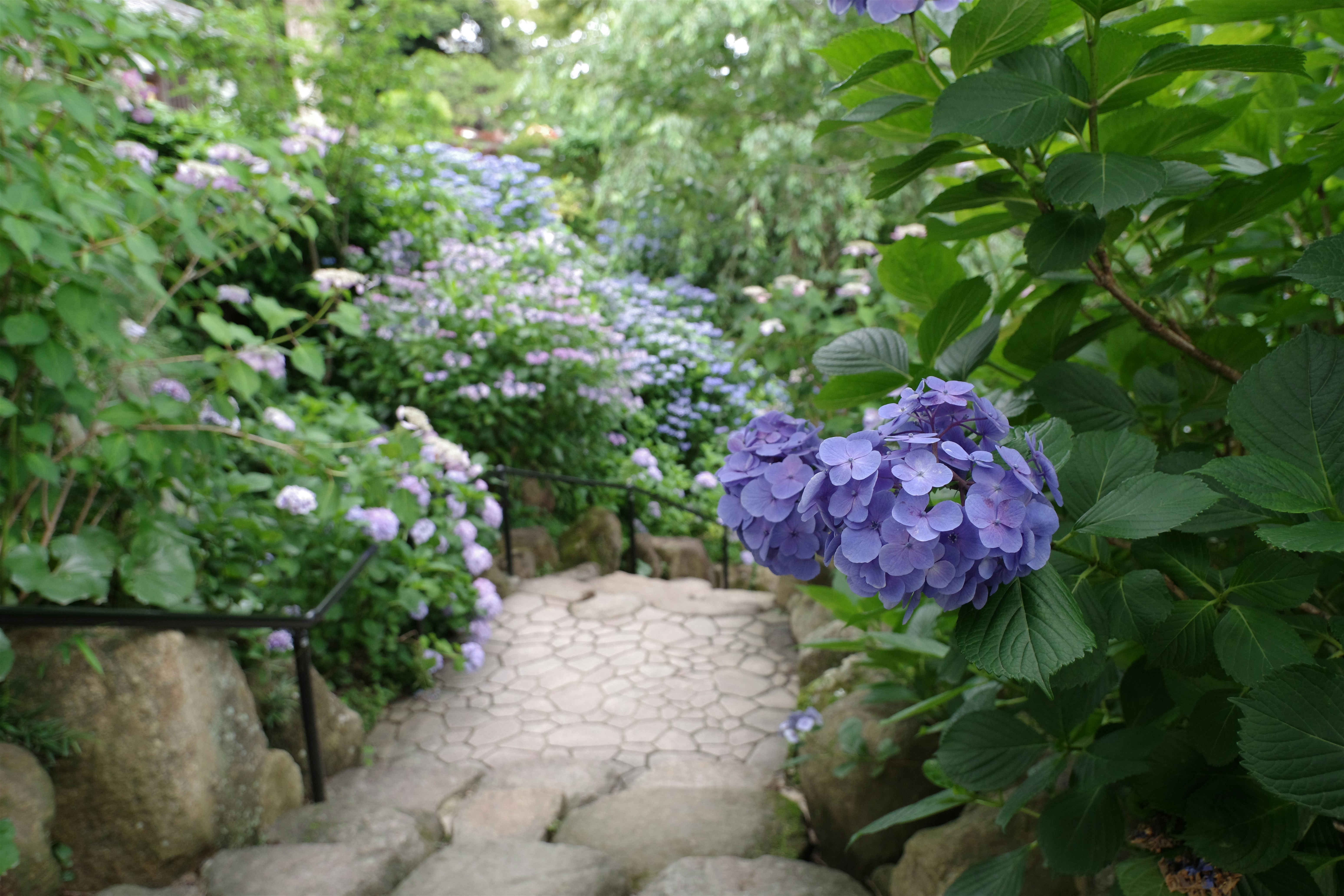 😱震驚！你家這樣擺超NG！財神爺直接搬走！