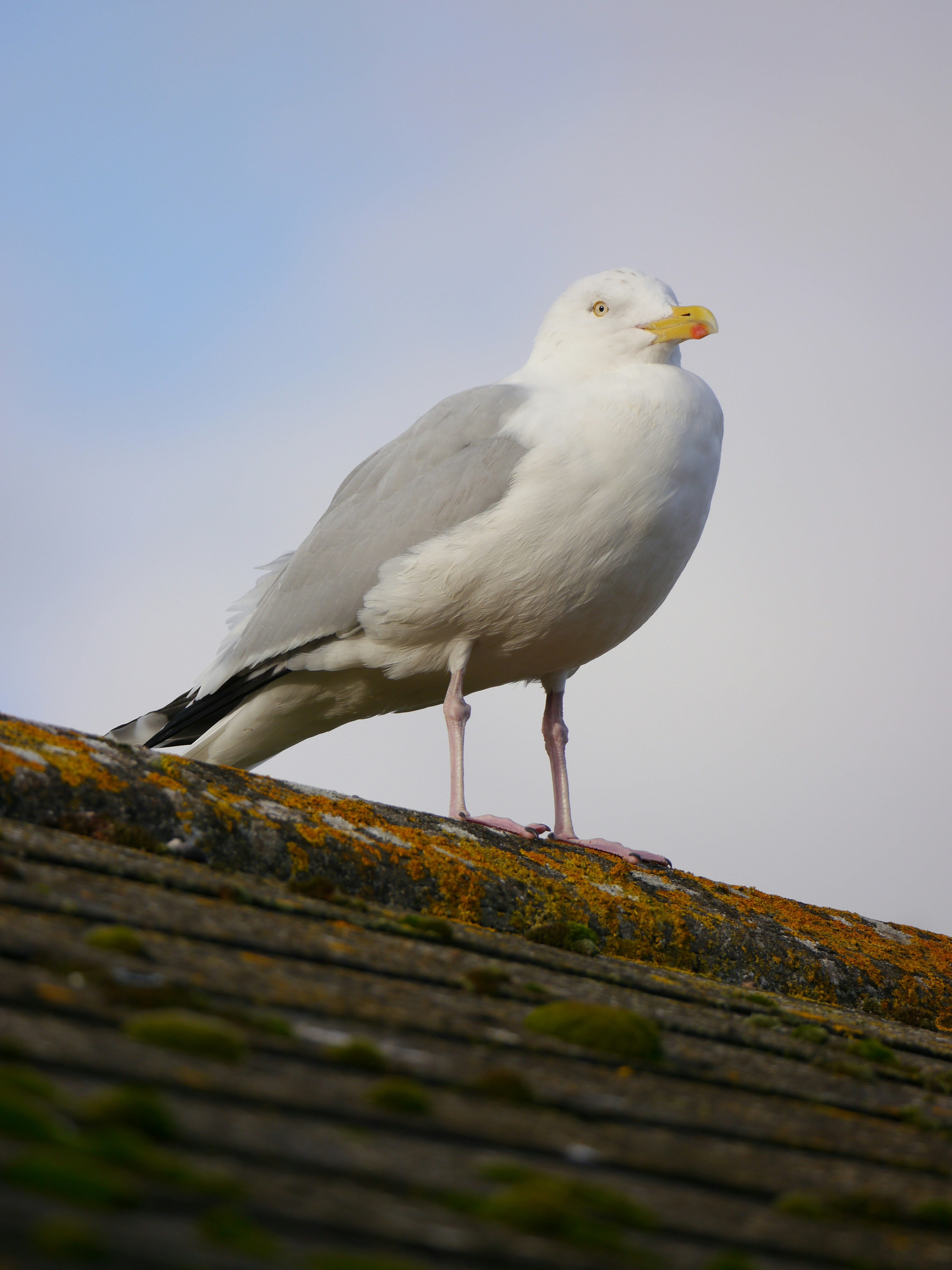 Photo by iqsphotography