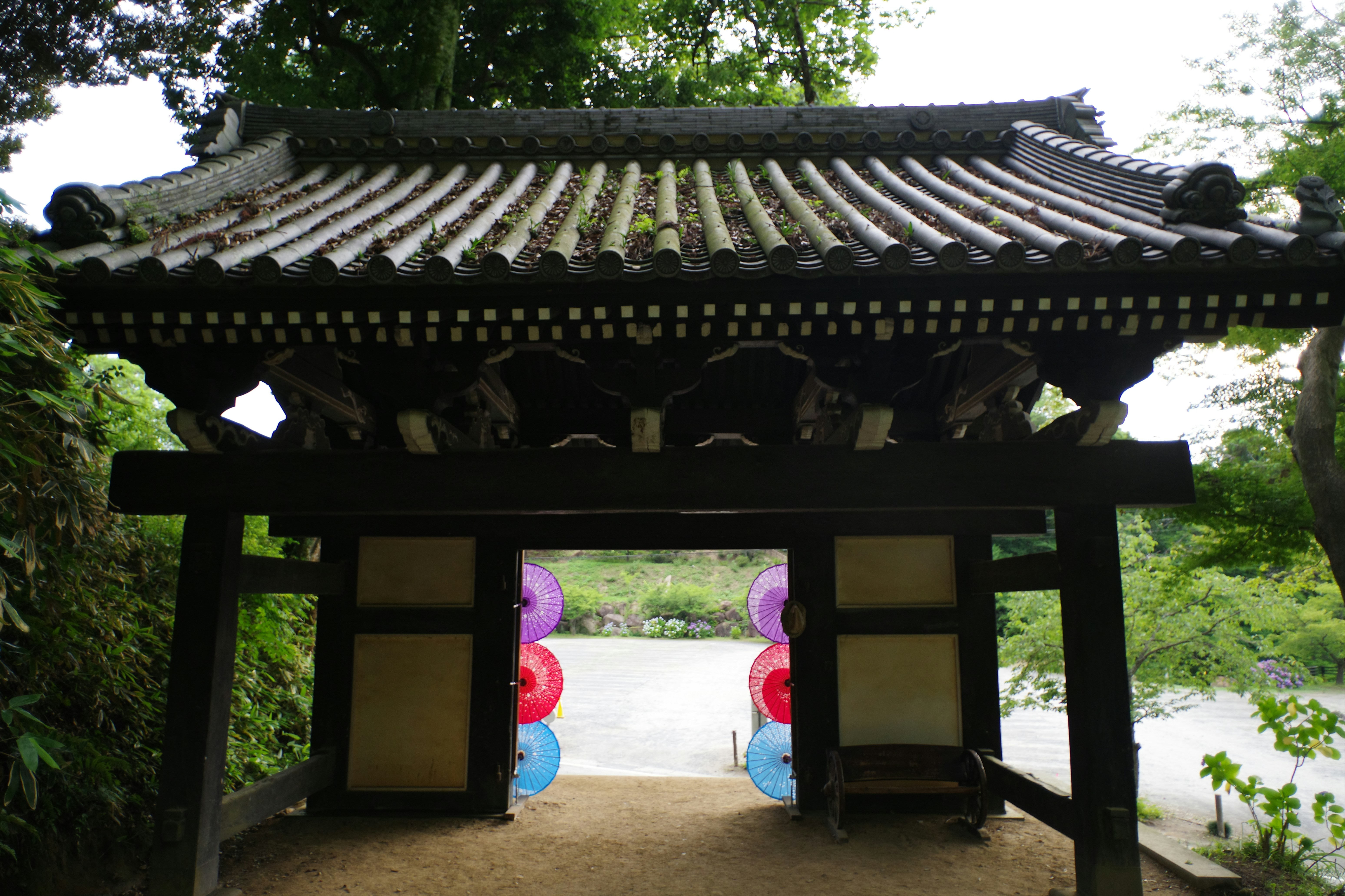 天啊！廚房水槽放「這東西」，蟑螂大軍連夜搬家！