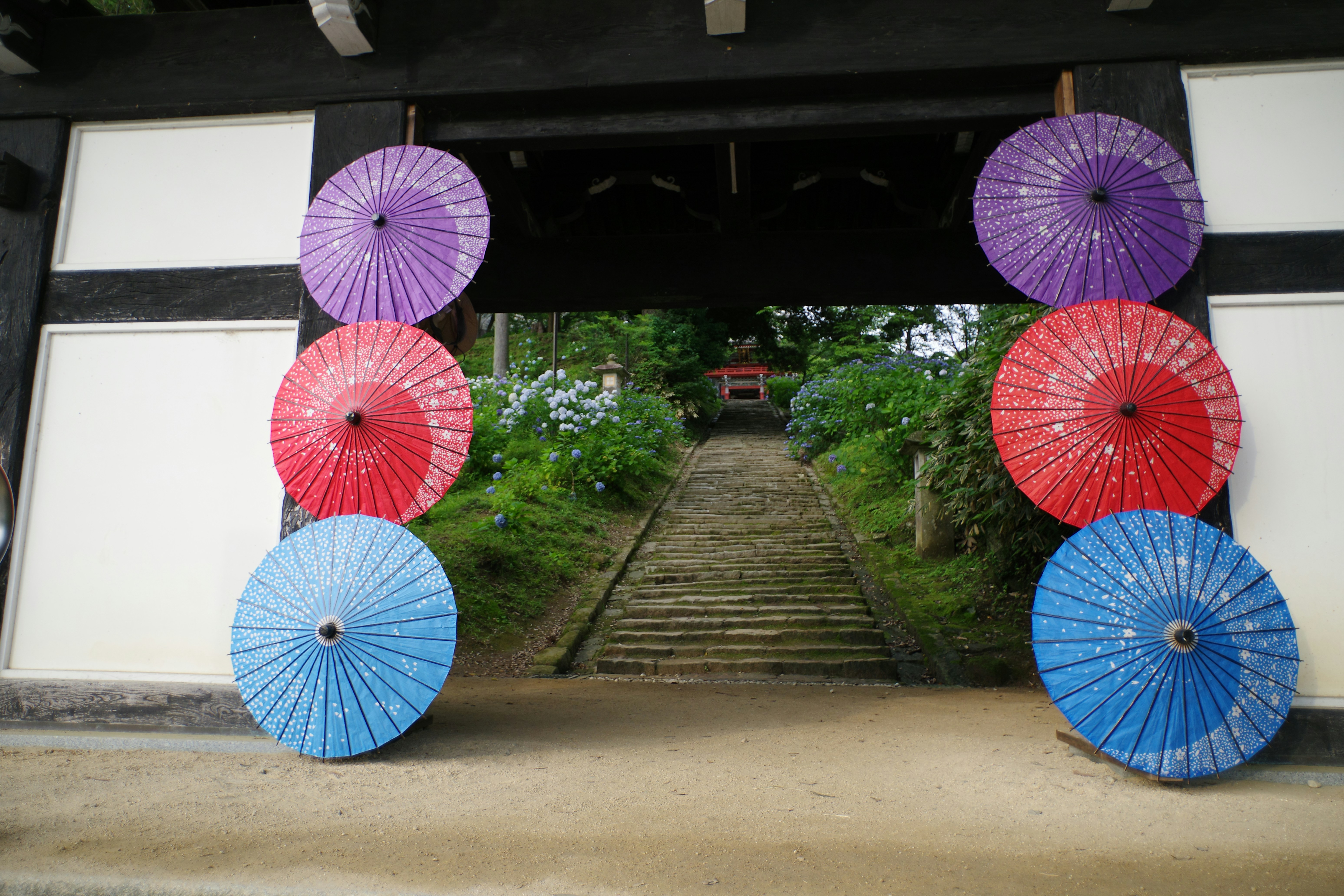震驚！90%的人都搞錯了！家居清潔真相曝光，看完我跪了！