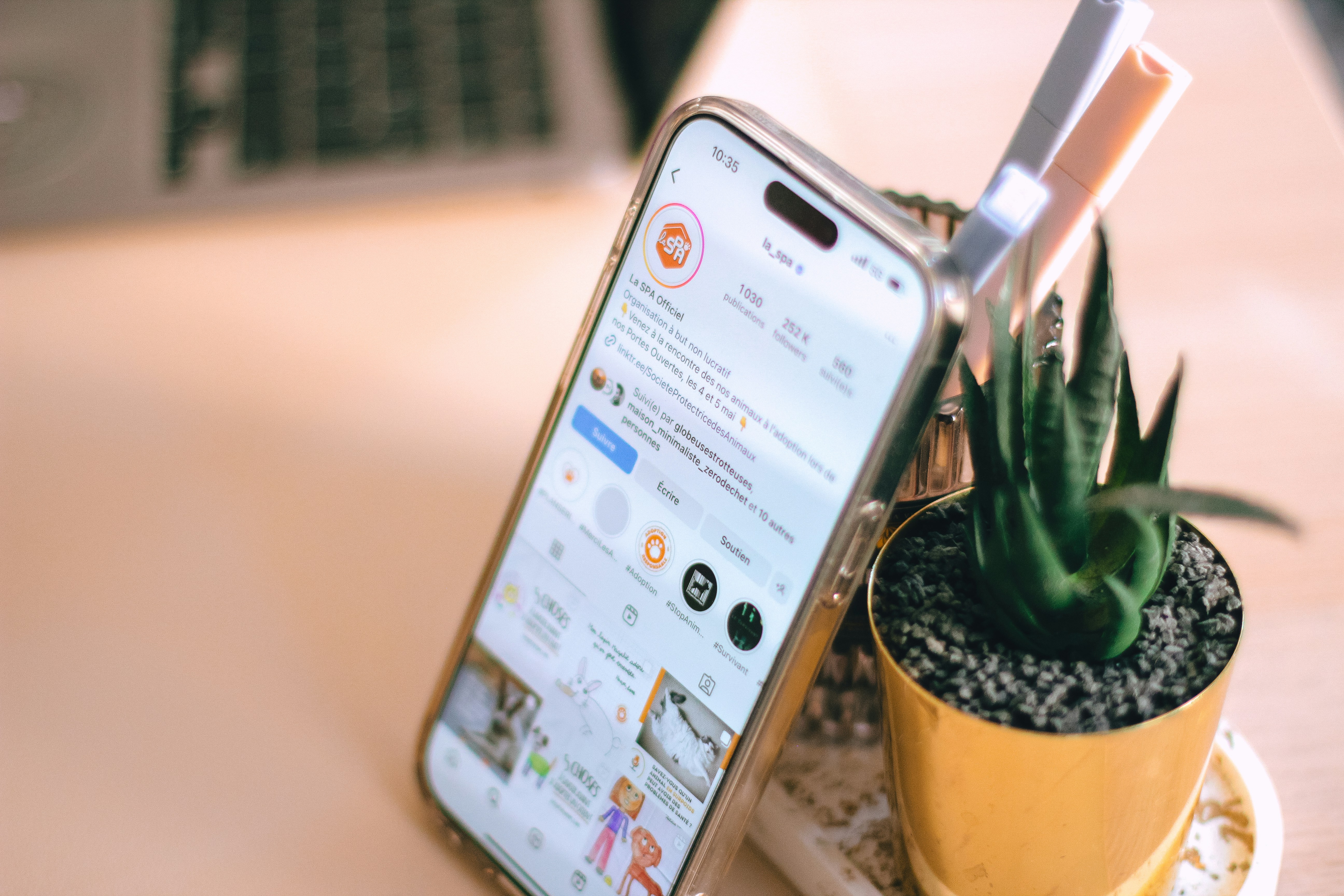 ทำไมคุณต้องมีเว็บไซต์? ไม่ใช่แค่ Facebook, IG, Line@, TikTok