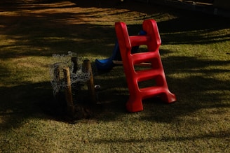 A red ladder leaning against a tree stump