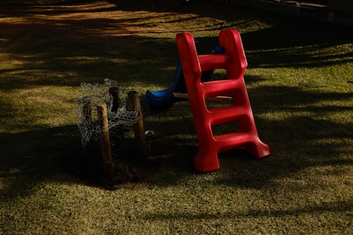 A red ladder leaning against a tree stump