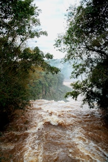 A river with brown water and trees on both sides