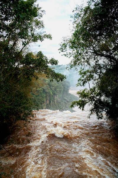 A river with brown water and trees on both sides