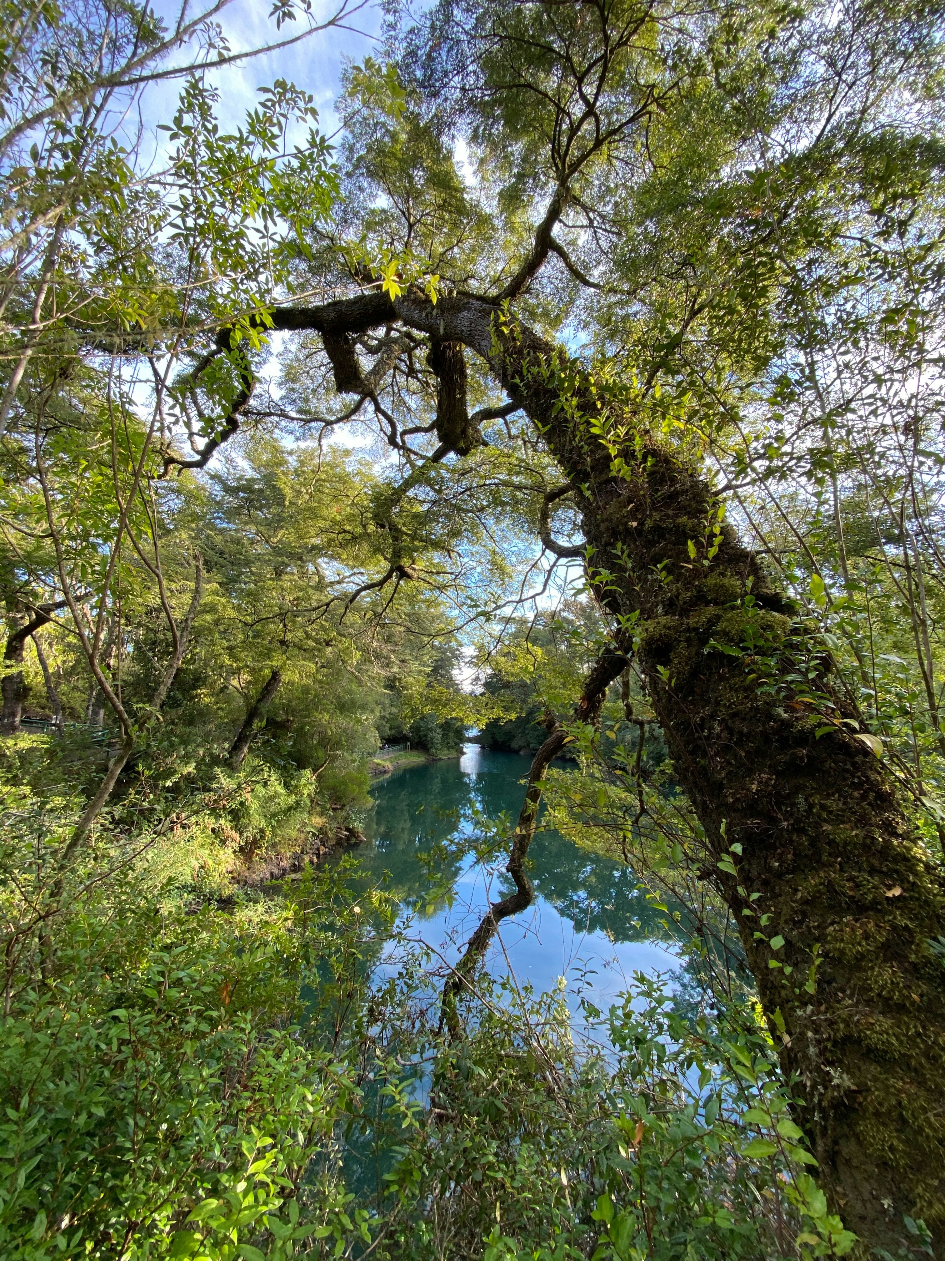 Photo by cirarrazaval