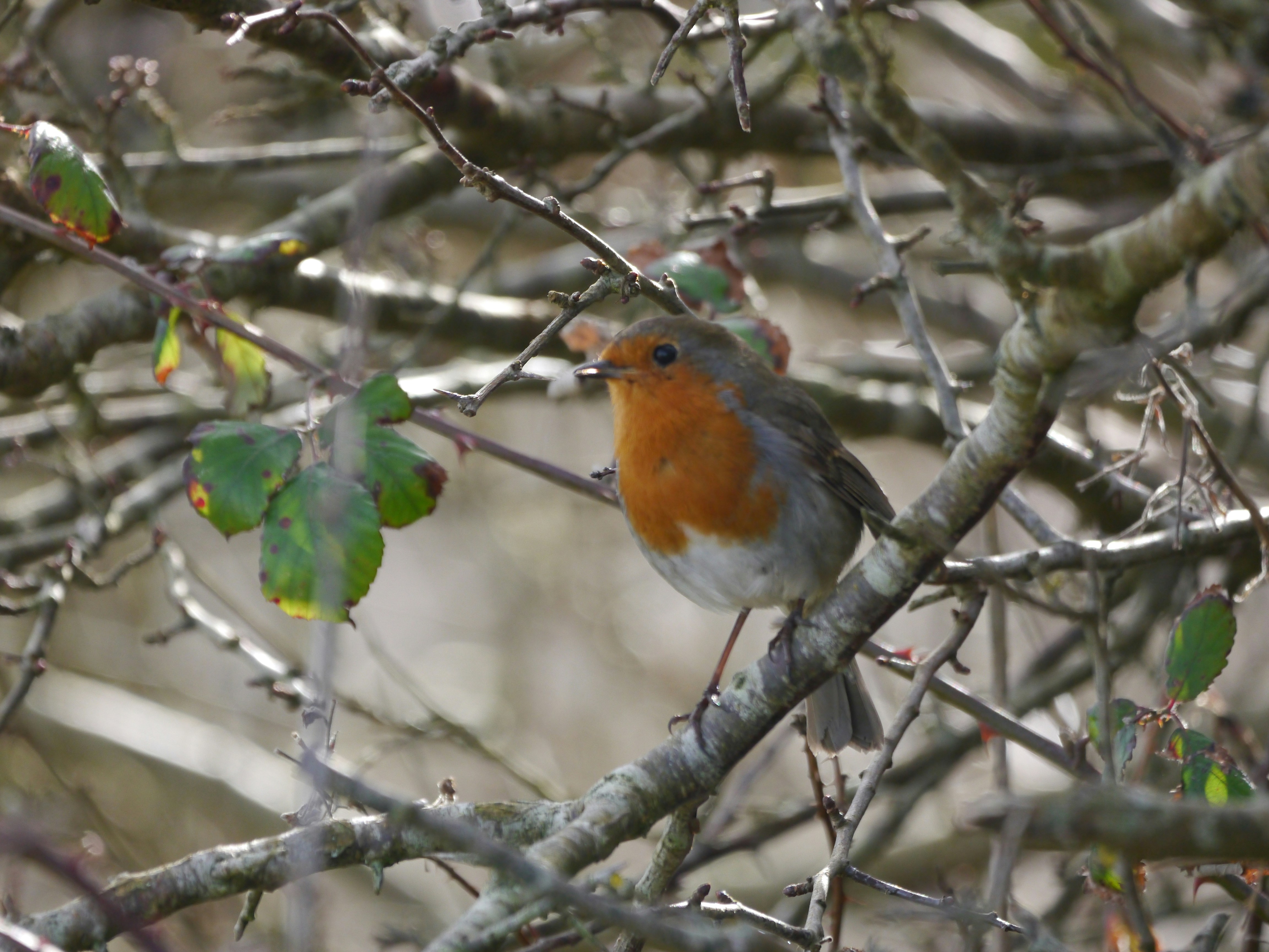 Photo by iqsphotography