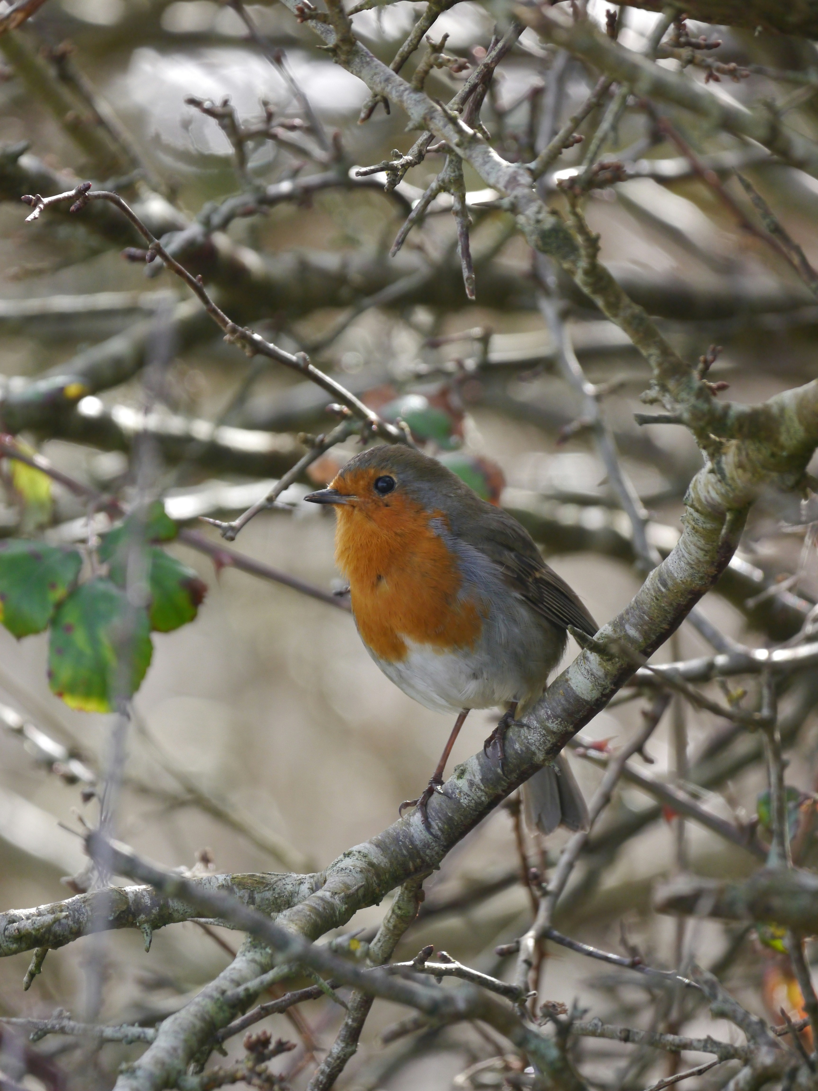 Photo by iqsphotography