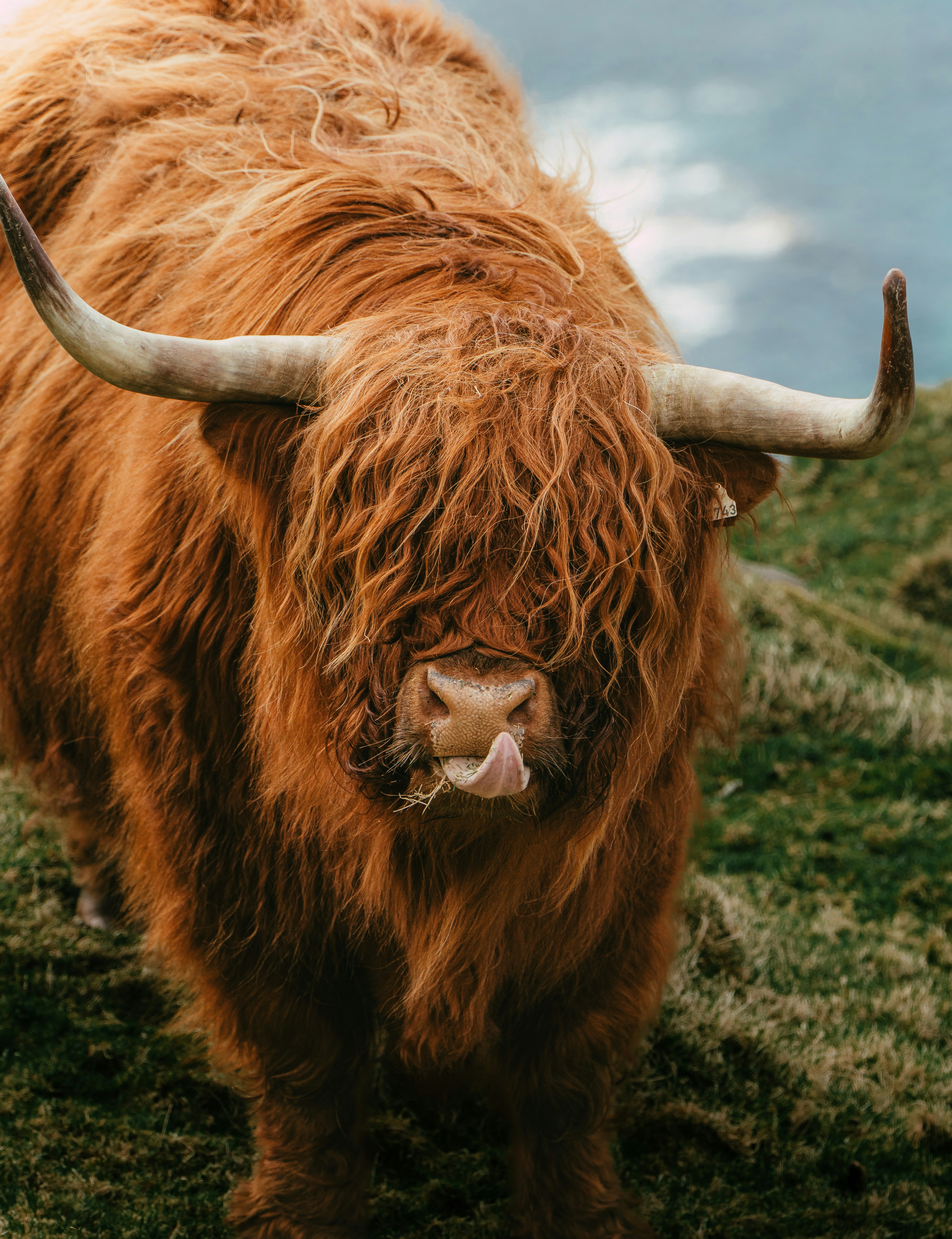 Photo by parsamphotography