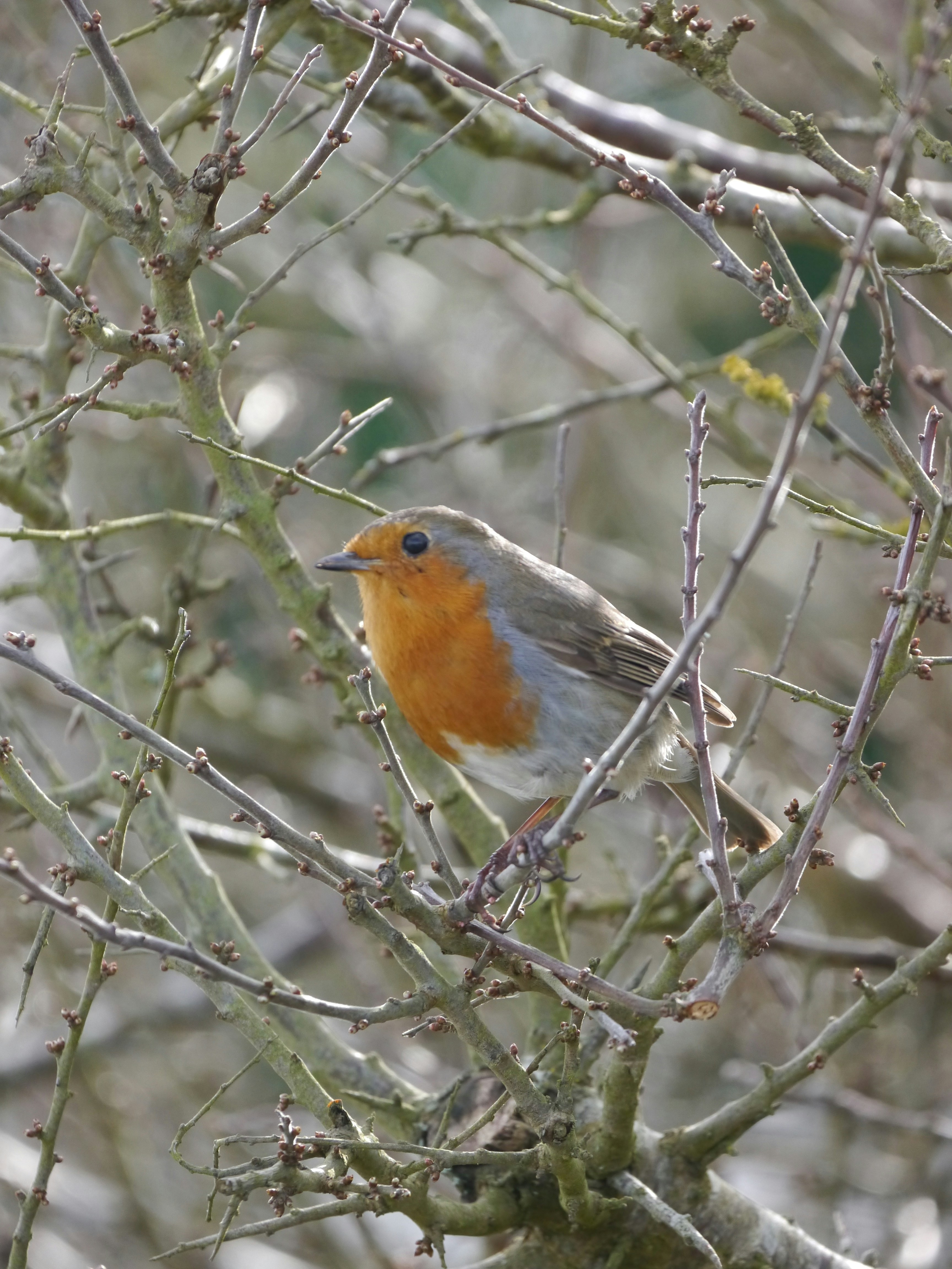 Photo by iqsphotography