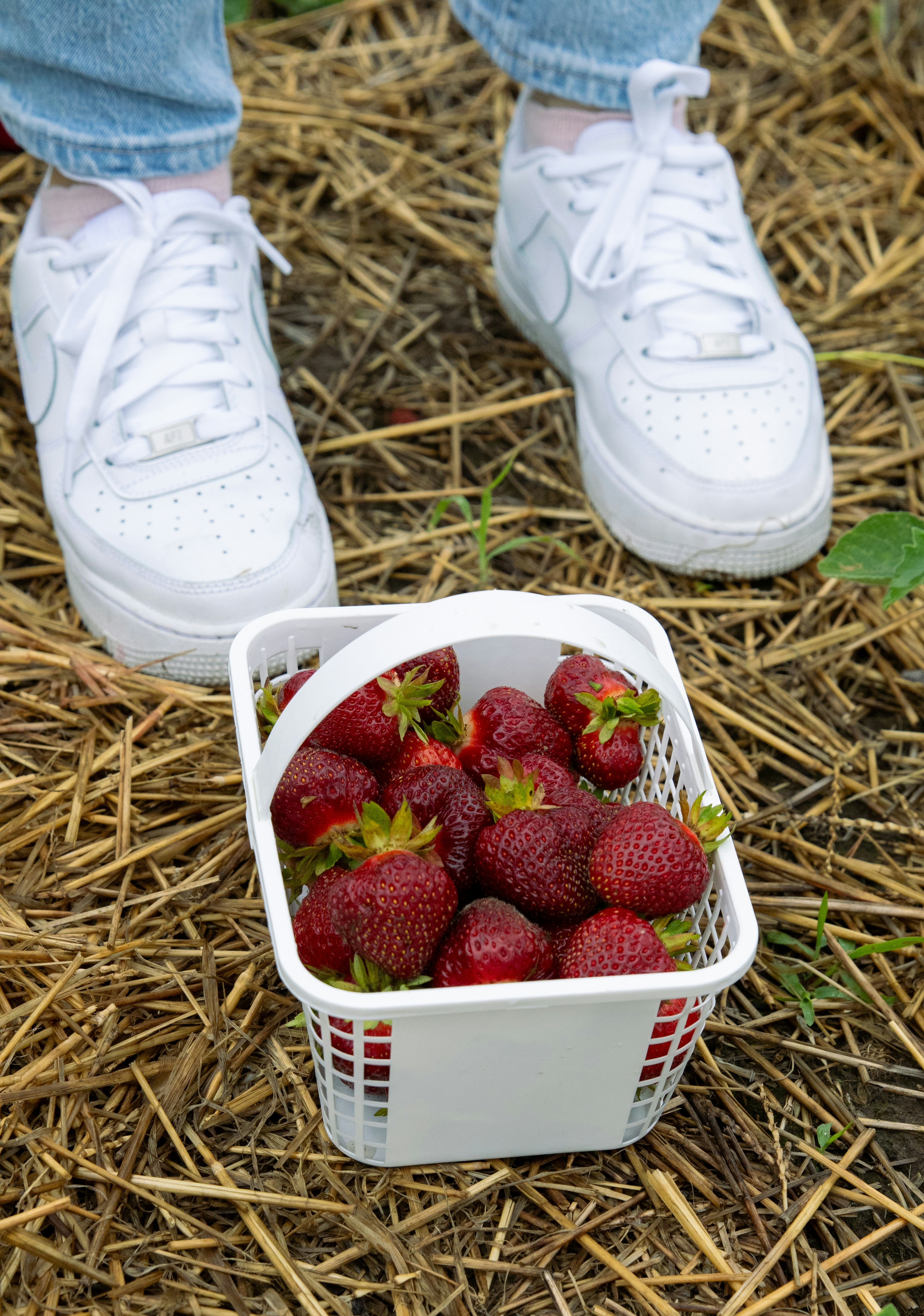 A person standing next to a basket of strawberries