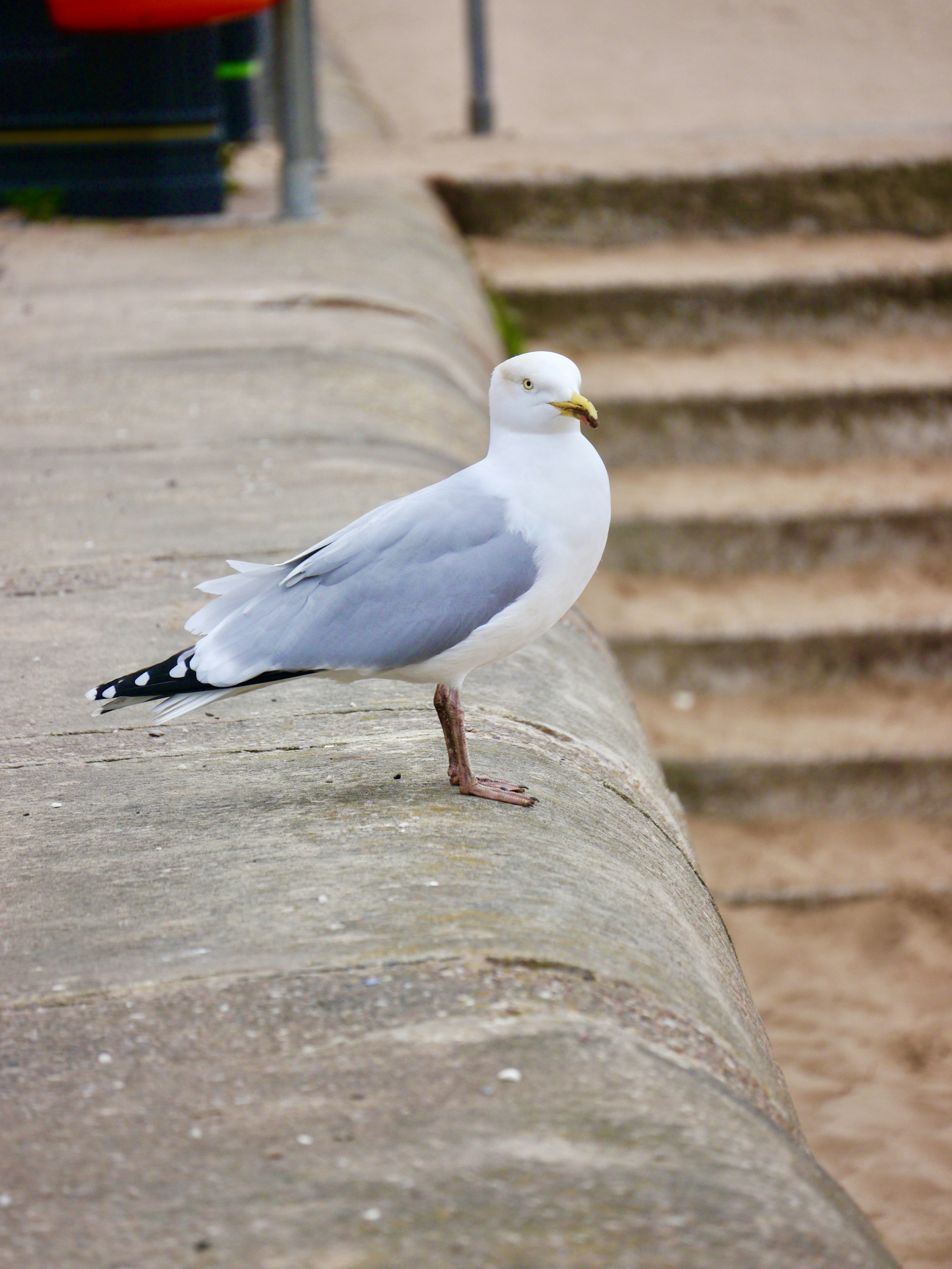 Photo by iqsphotography