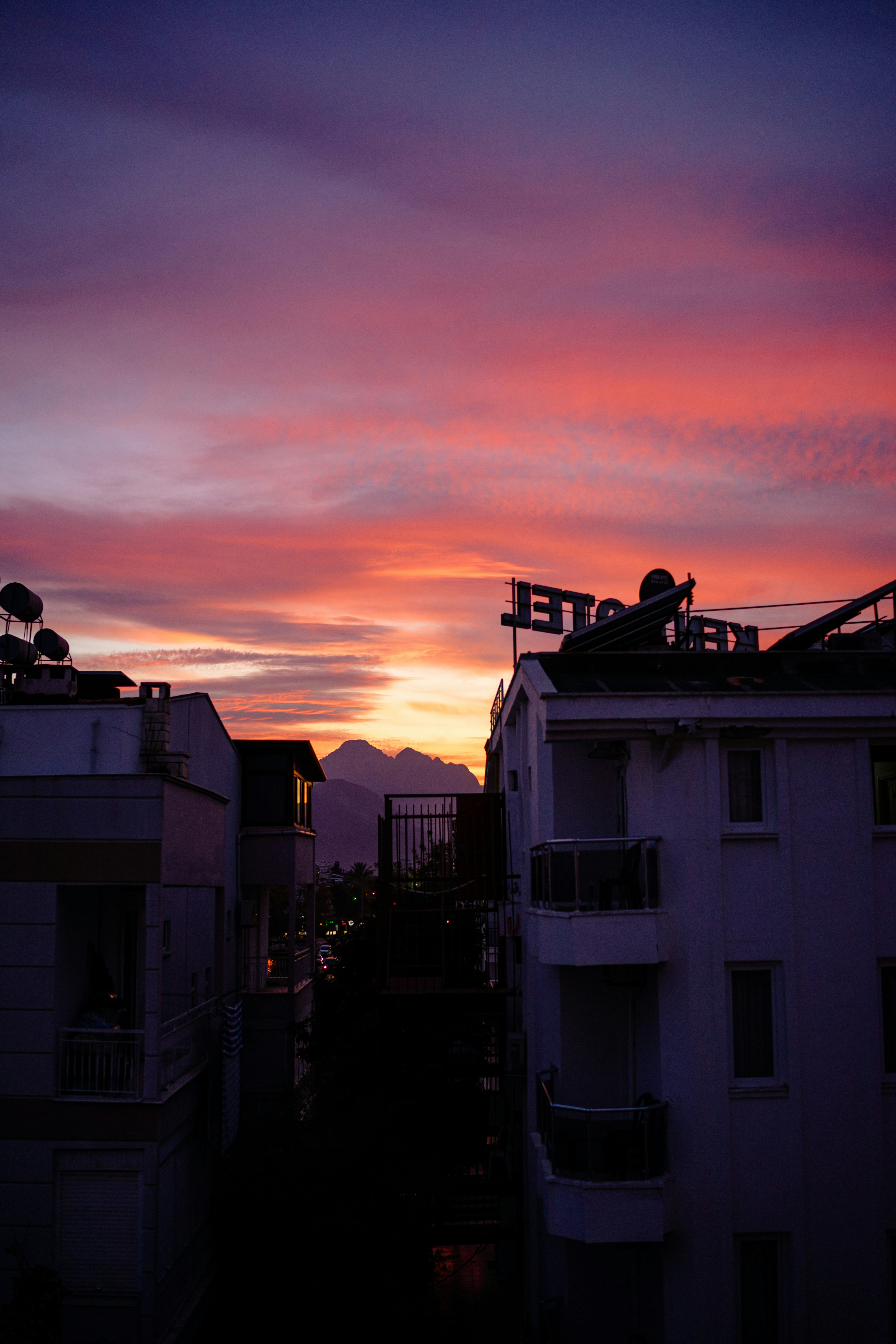 Photo by igorharrier
