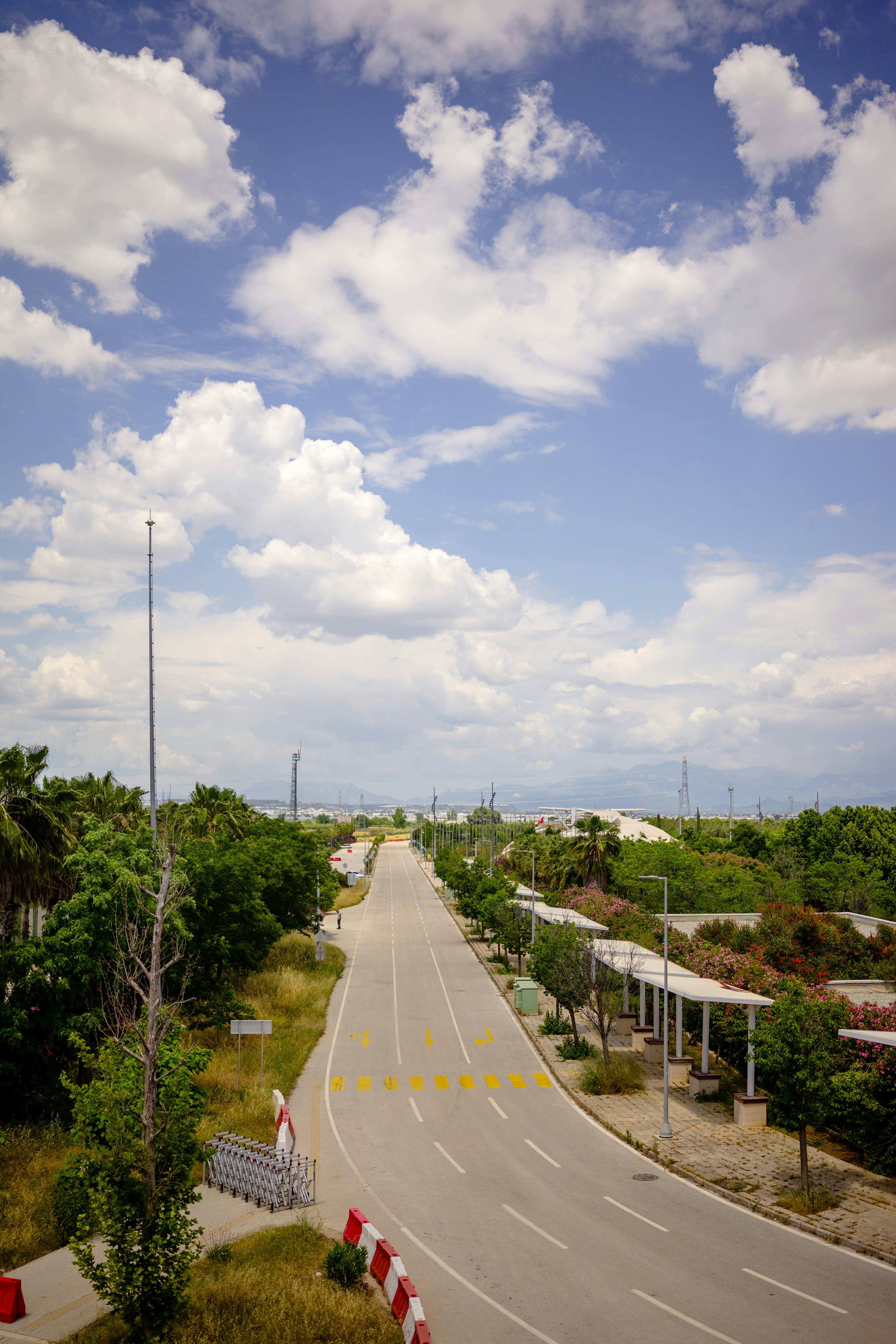 Photo by igorharrier