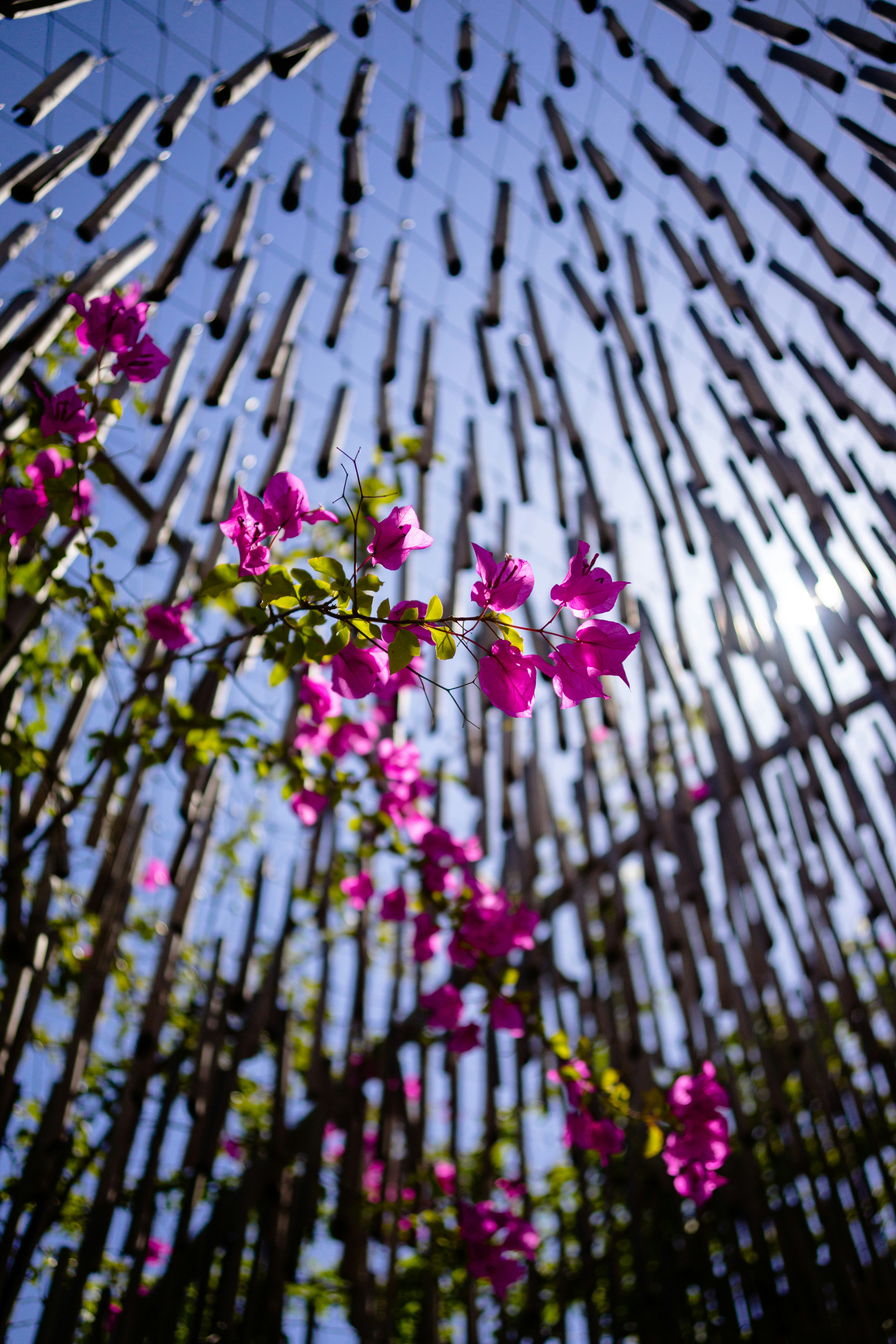 Ruse – Safety, Health & Local Etiquette