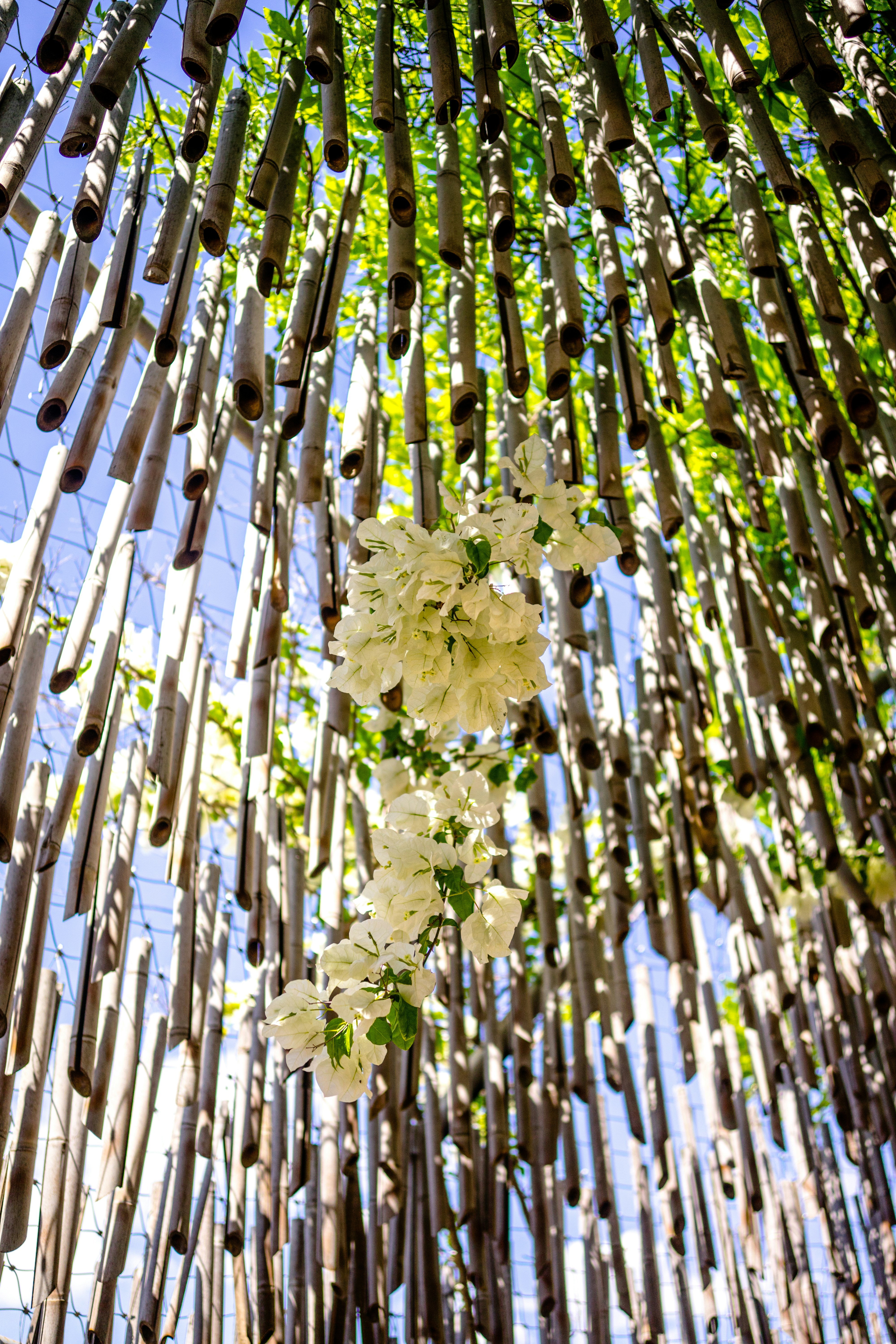 Ruse – Food & Dining Culture