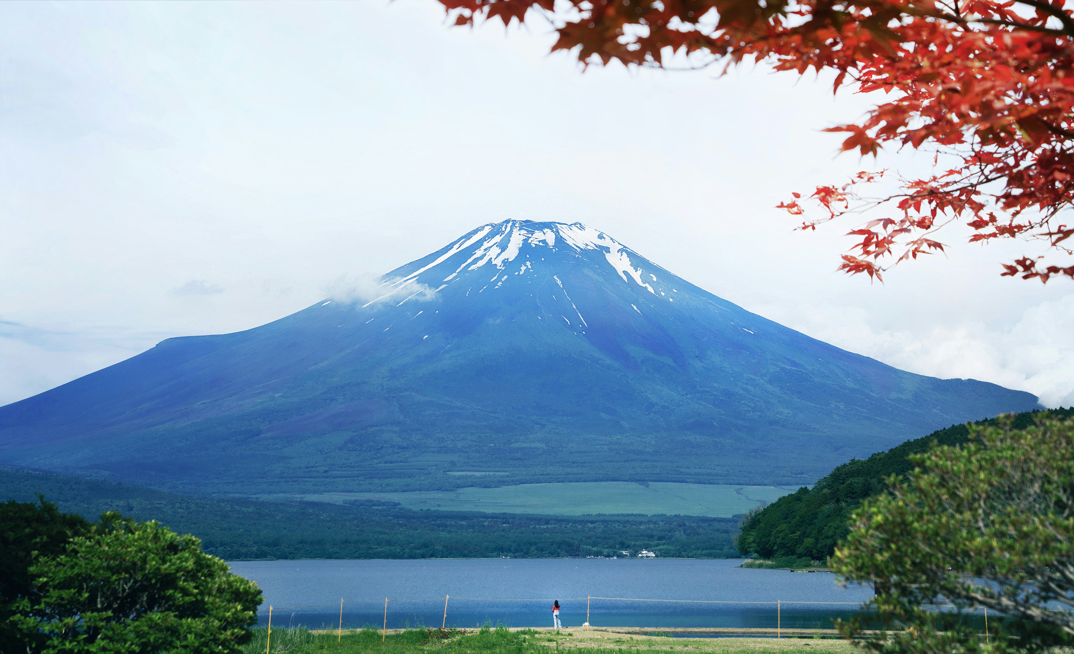 Photo by lilidongdong