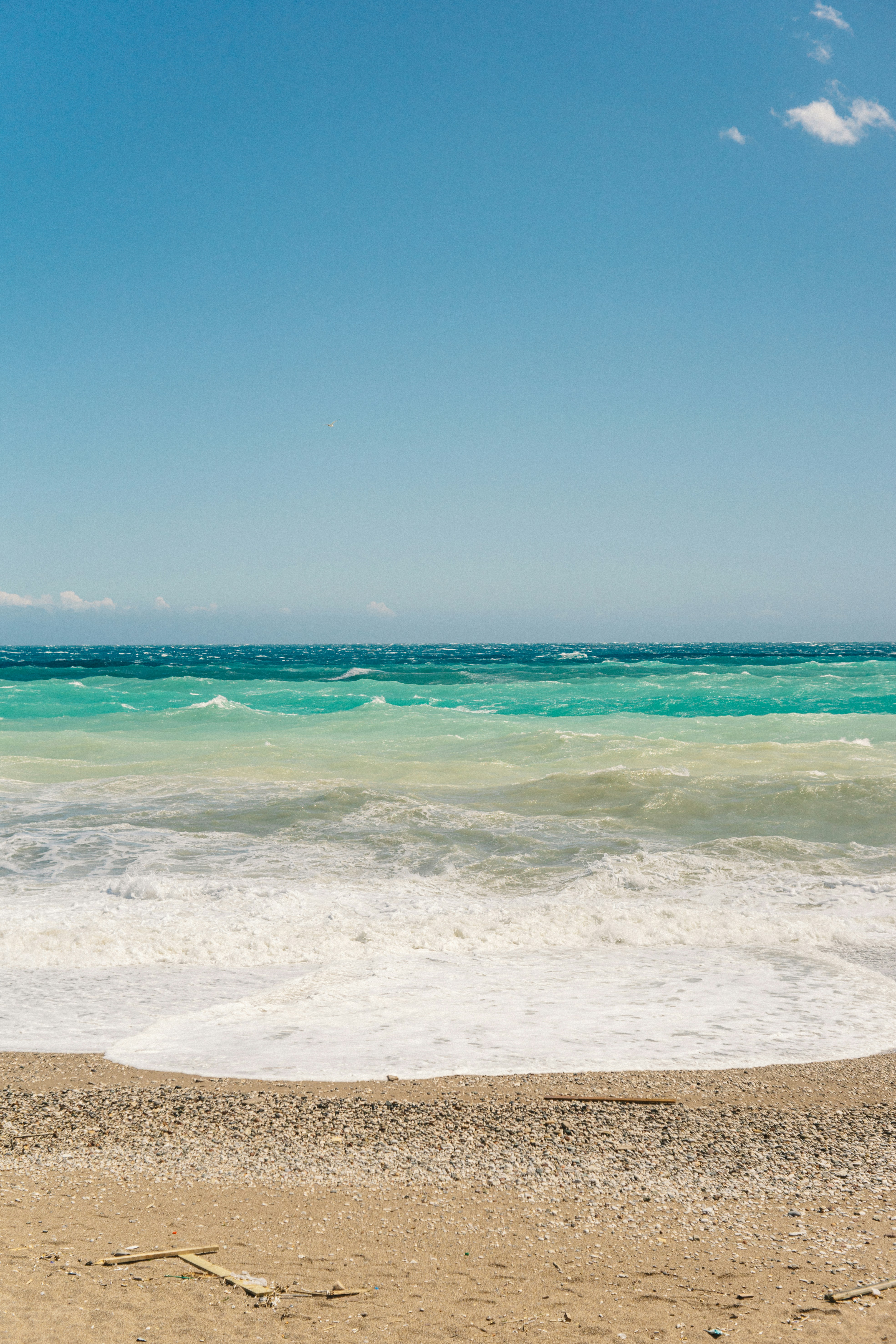 Photo by igorharrier