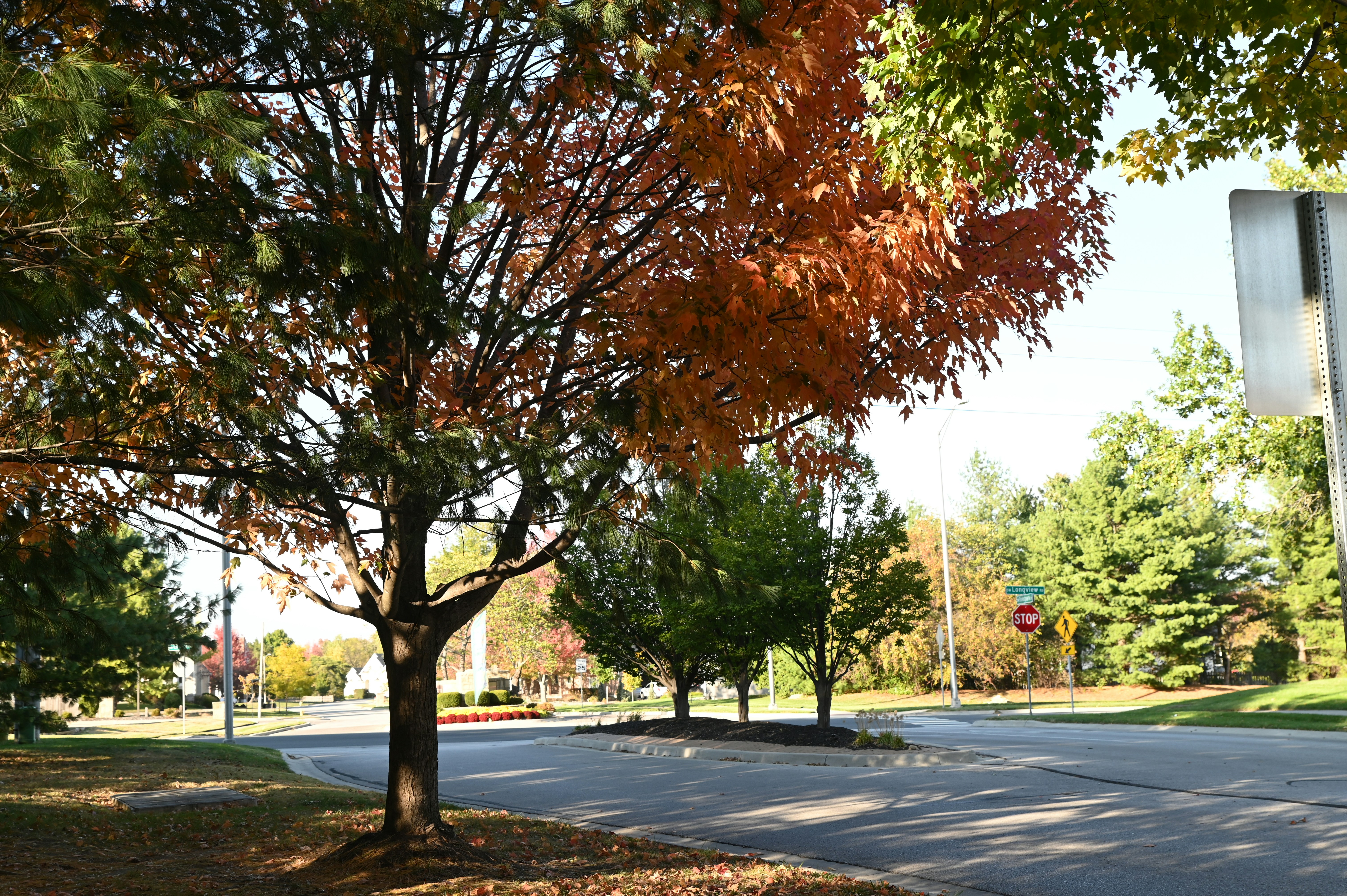 Photo by golfnmachine