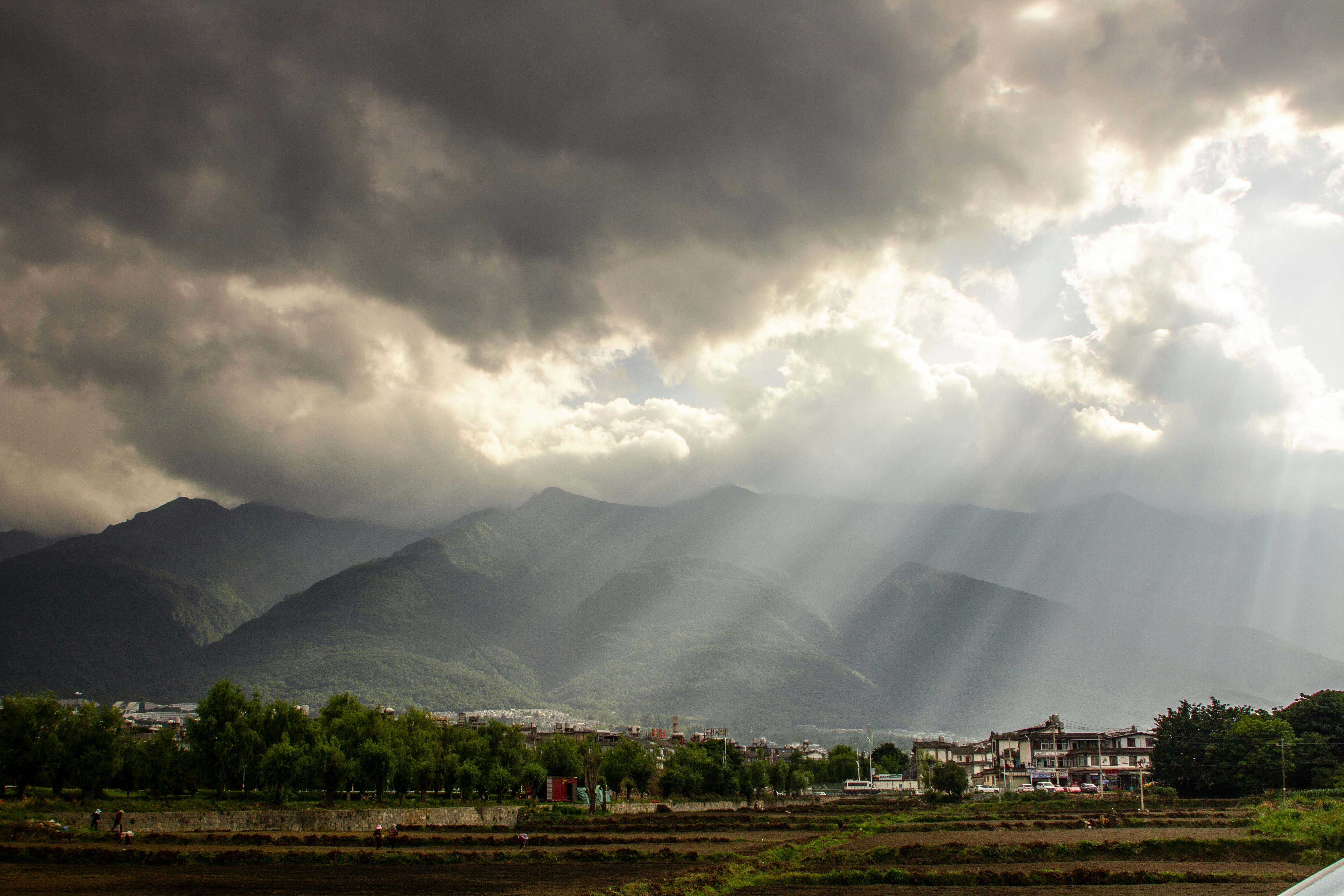 生辰八字案例解读：官杀印相生的格局、用神与实战案例分析