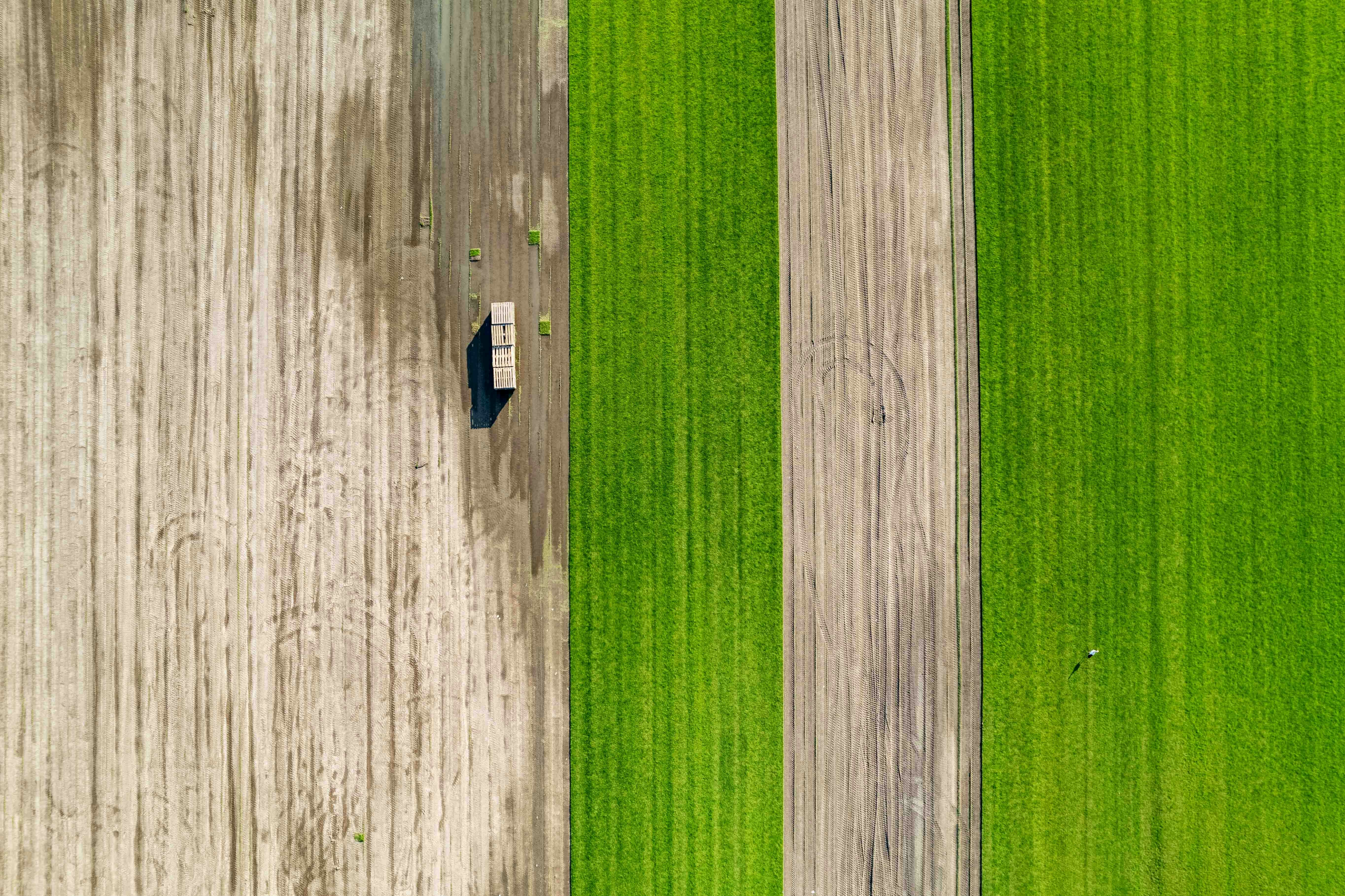 Le recrutement de jeunes diplômés dans la tech devrait chuter à 70 pour cent au second semestre 2025