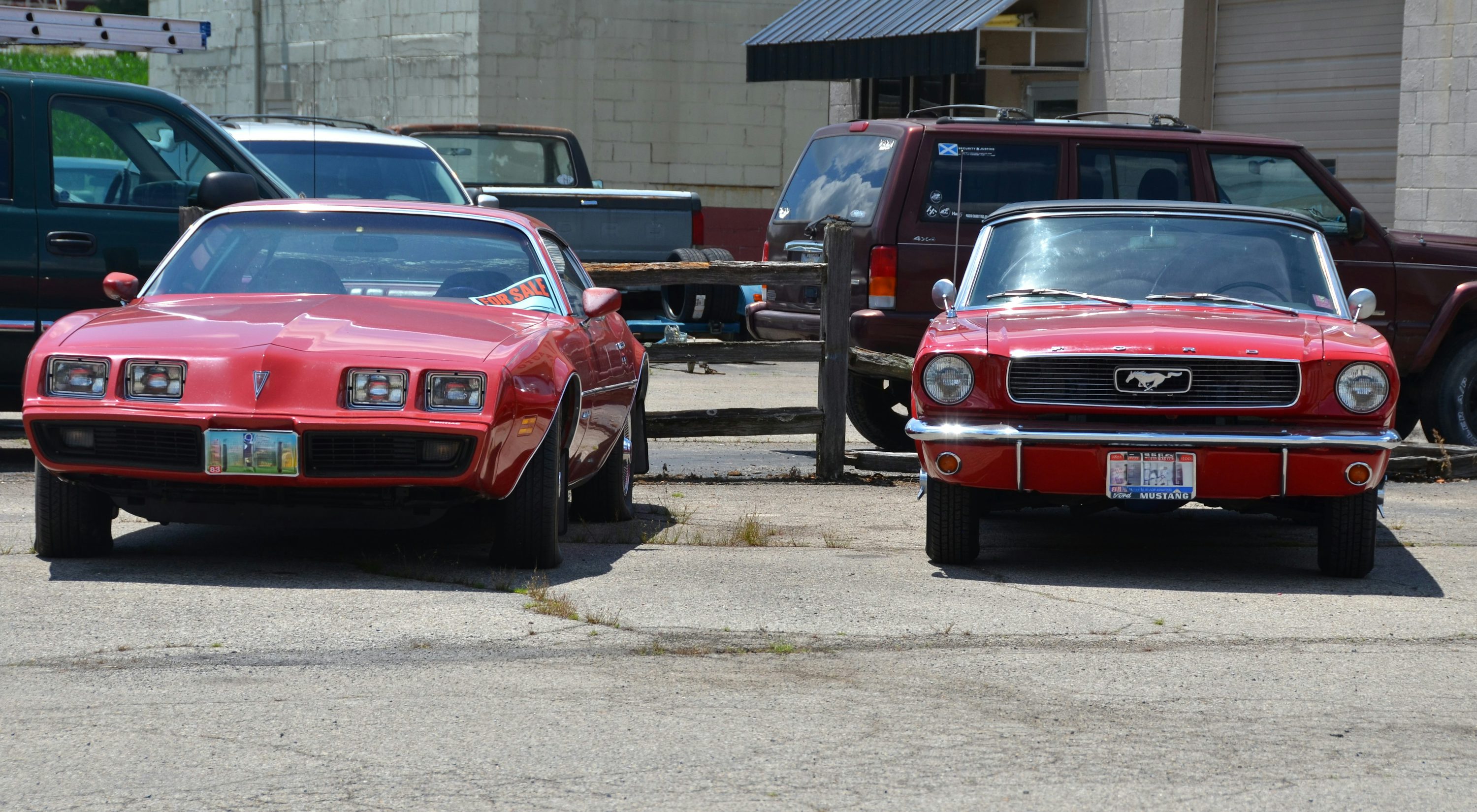 A couple of red mustangs parked in a parking lot