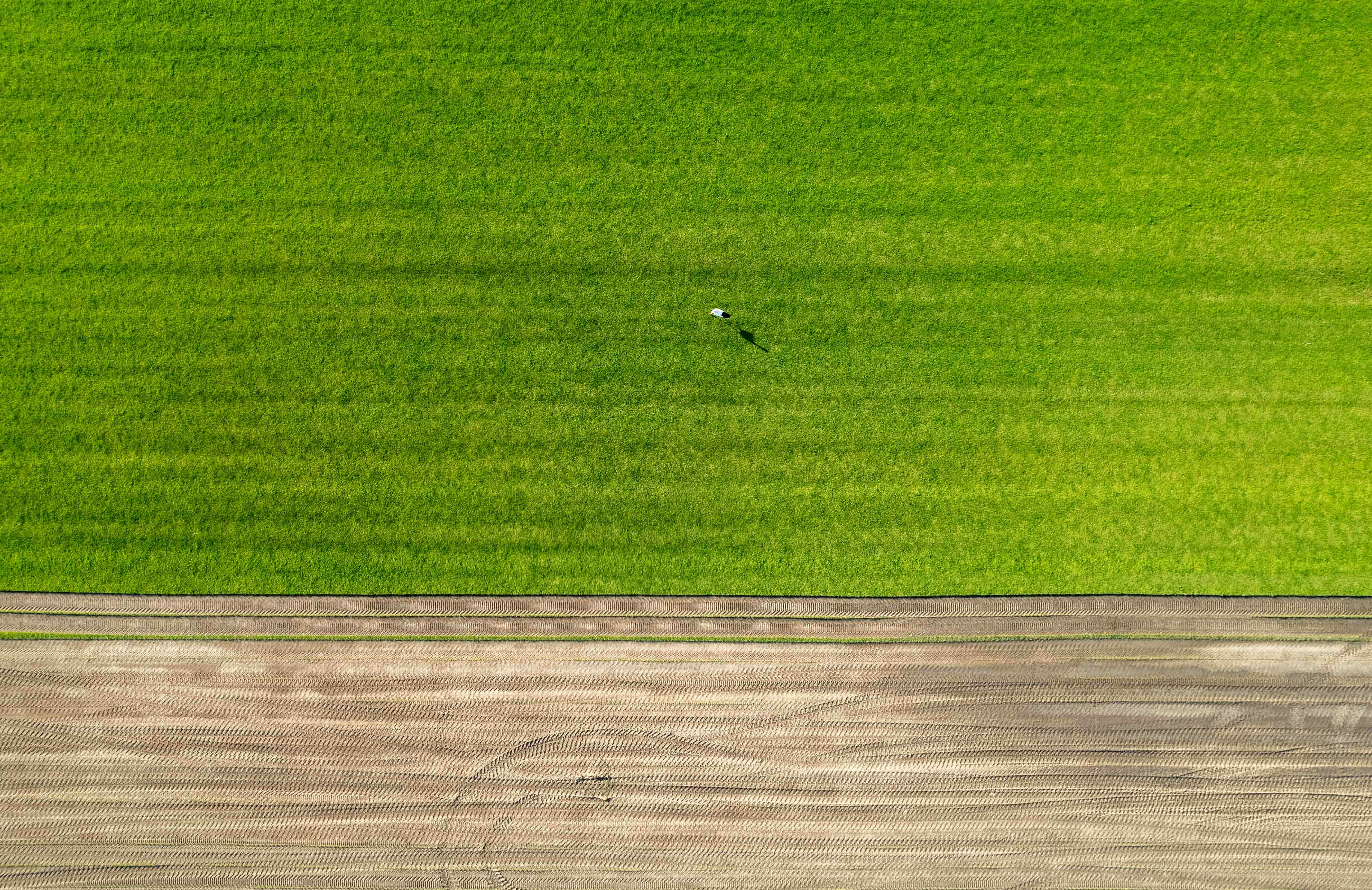 Adoption inégale de l’IA selon les régions et les entreprises selon le rapport Economic Index d’Anthropic