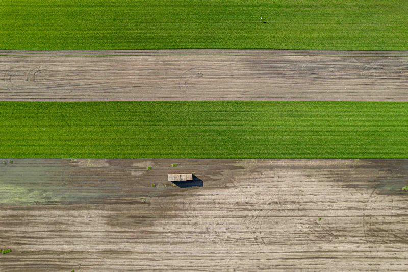 Aerial view of a farm field