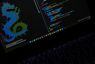A computer screen with a picture of a dragon on it