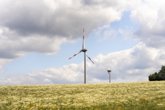 A wind turbine in a field of yellow flowers