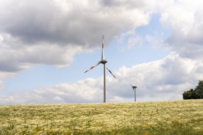 A wind turbine in a field of yellow flowers