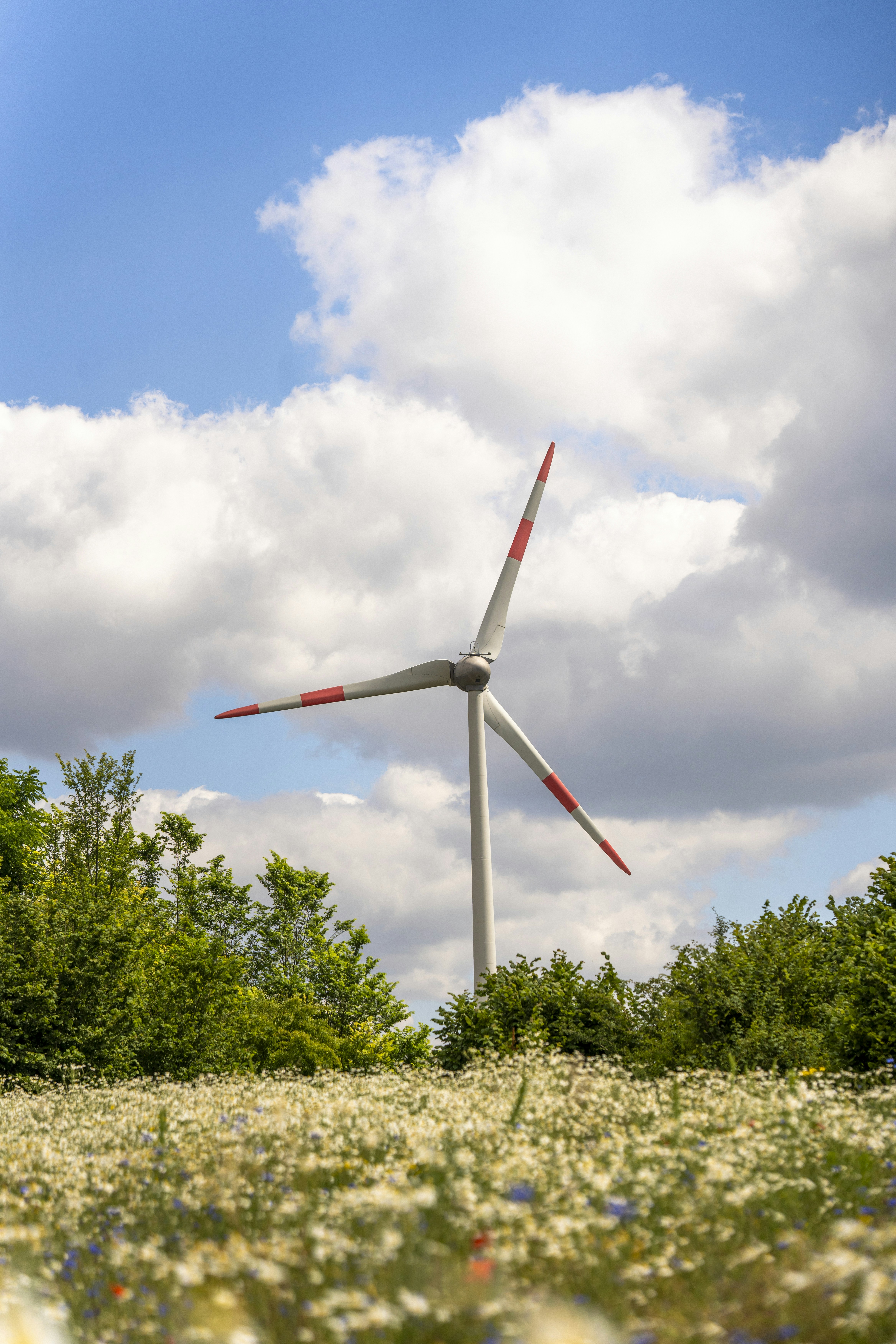 A wind turbine in a field of wildflowers