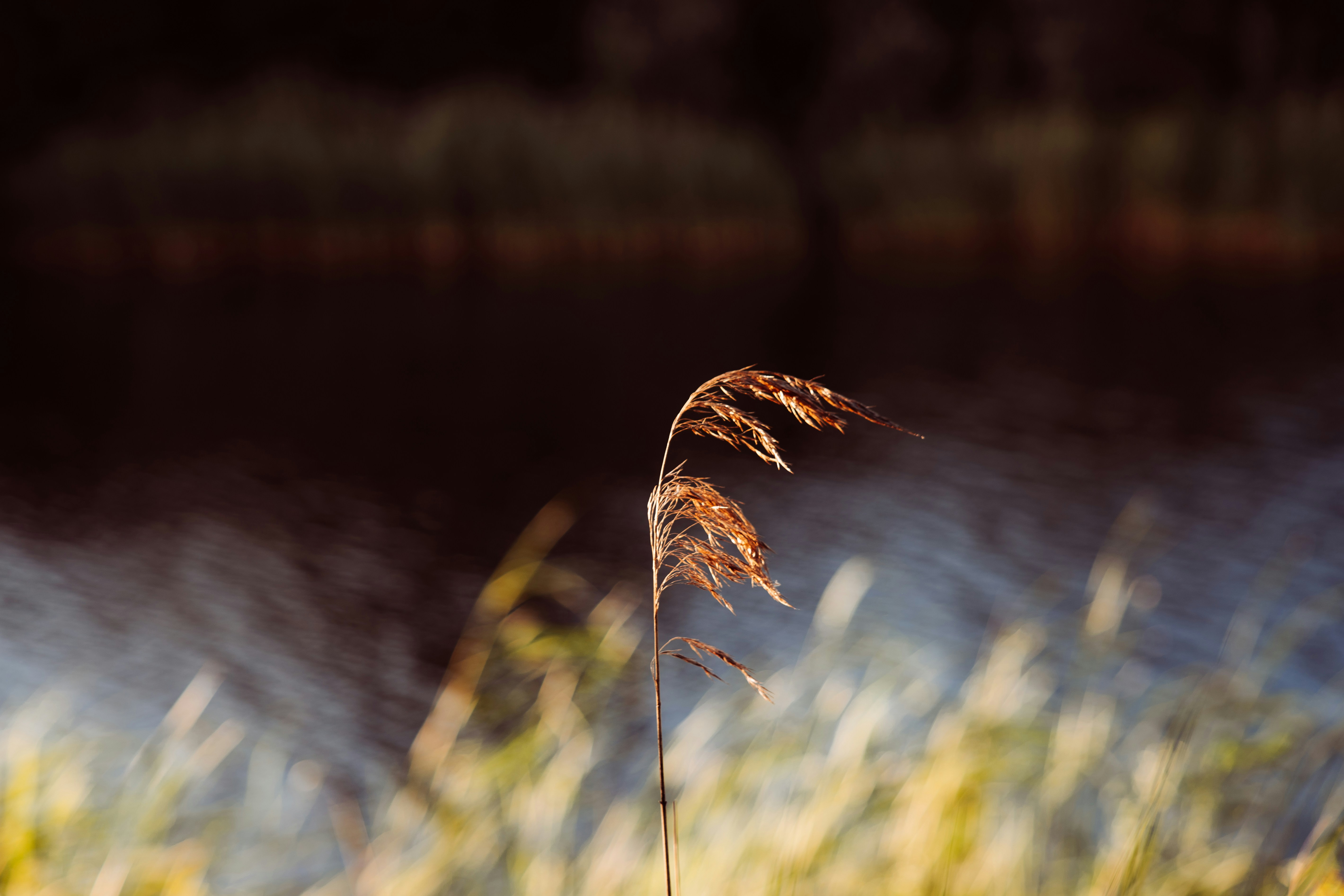 Photo by frannzsteph