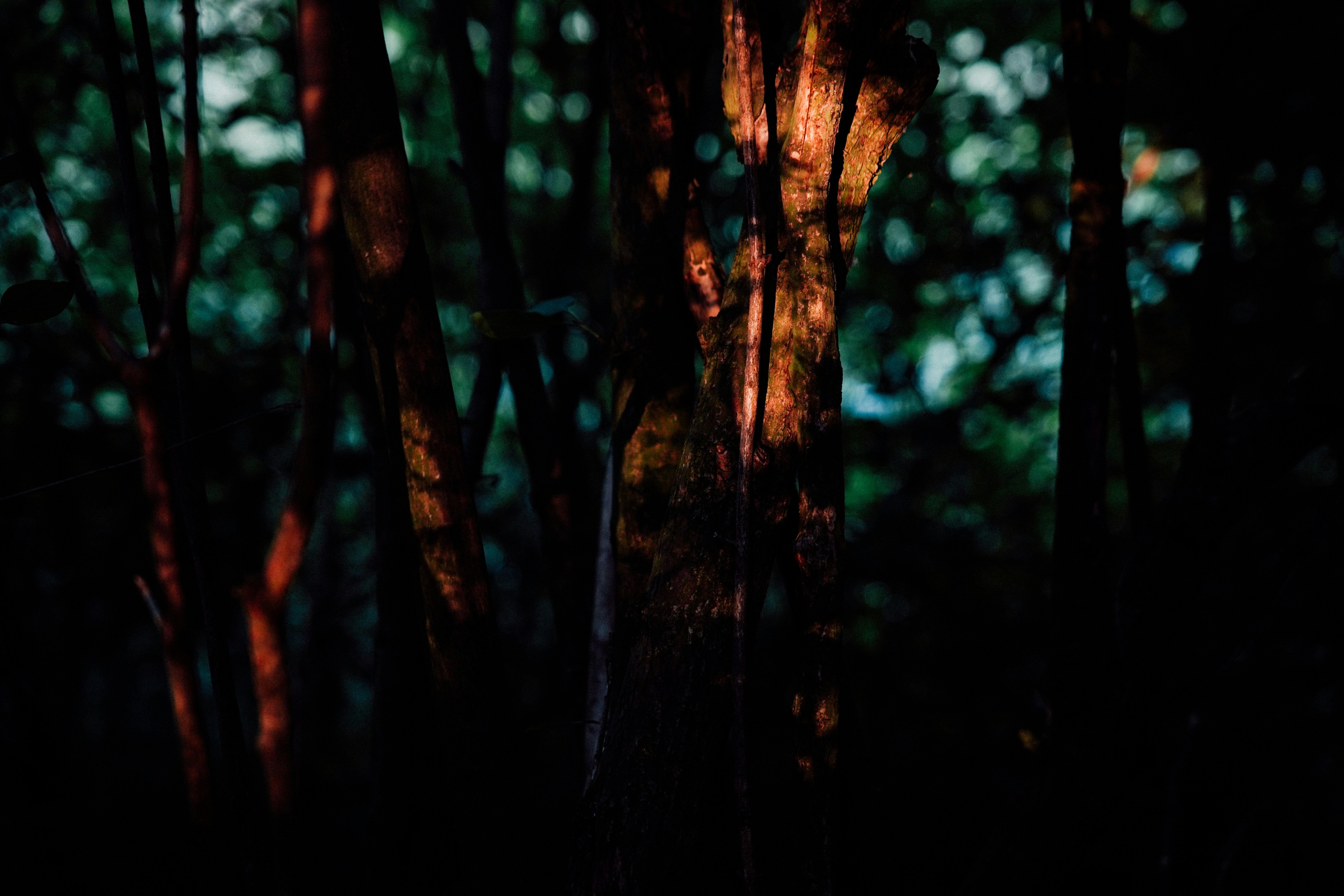 Photo by frannzsteph