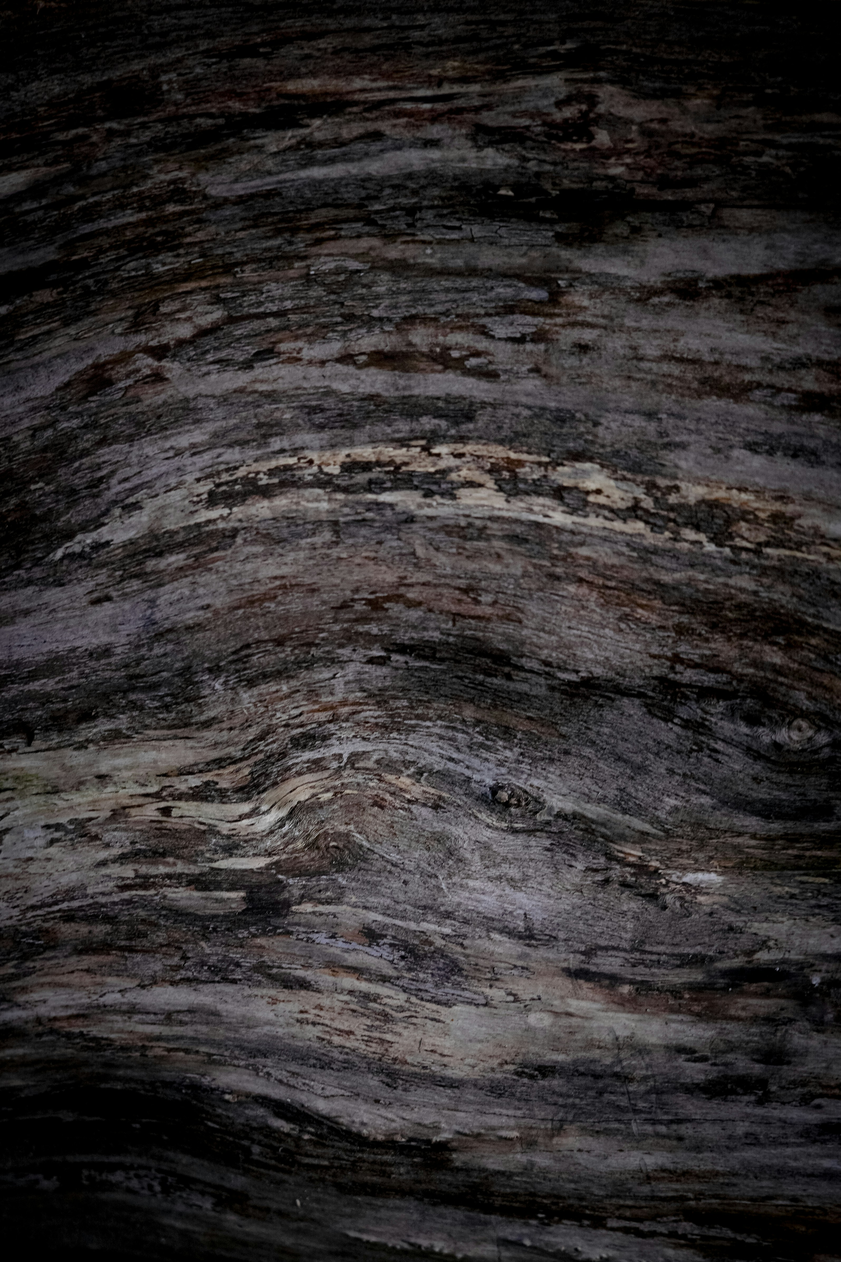 Photo by frannzsteph