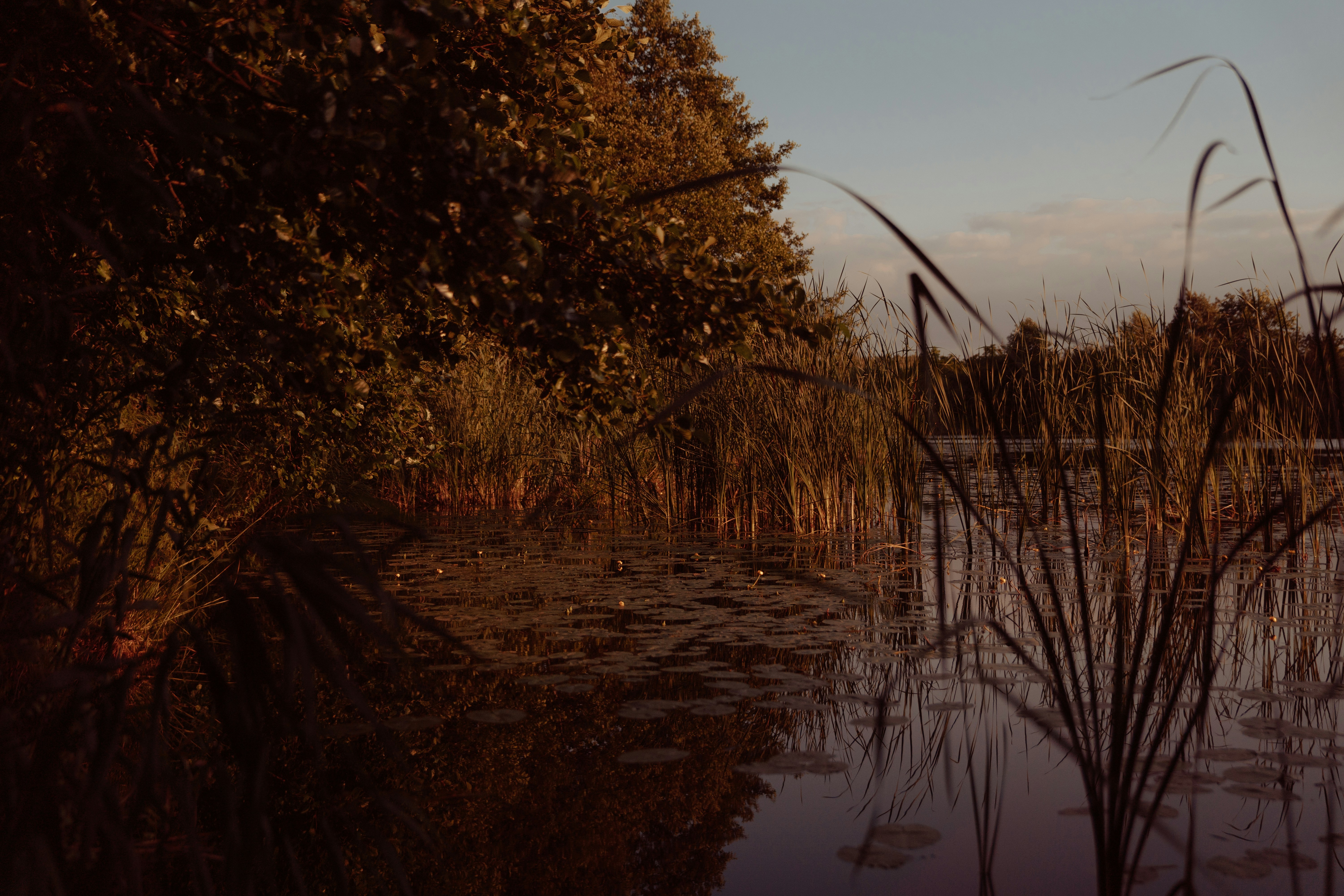 Photo by frannzsteph