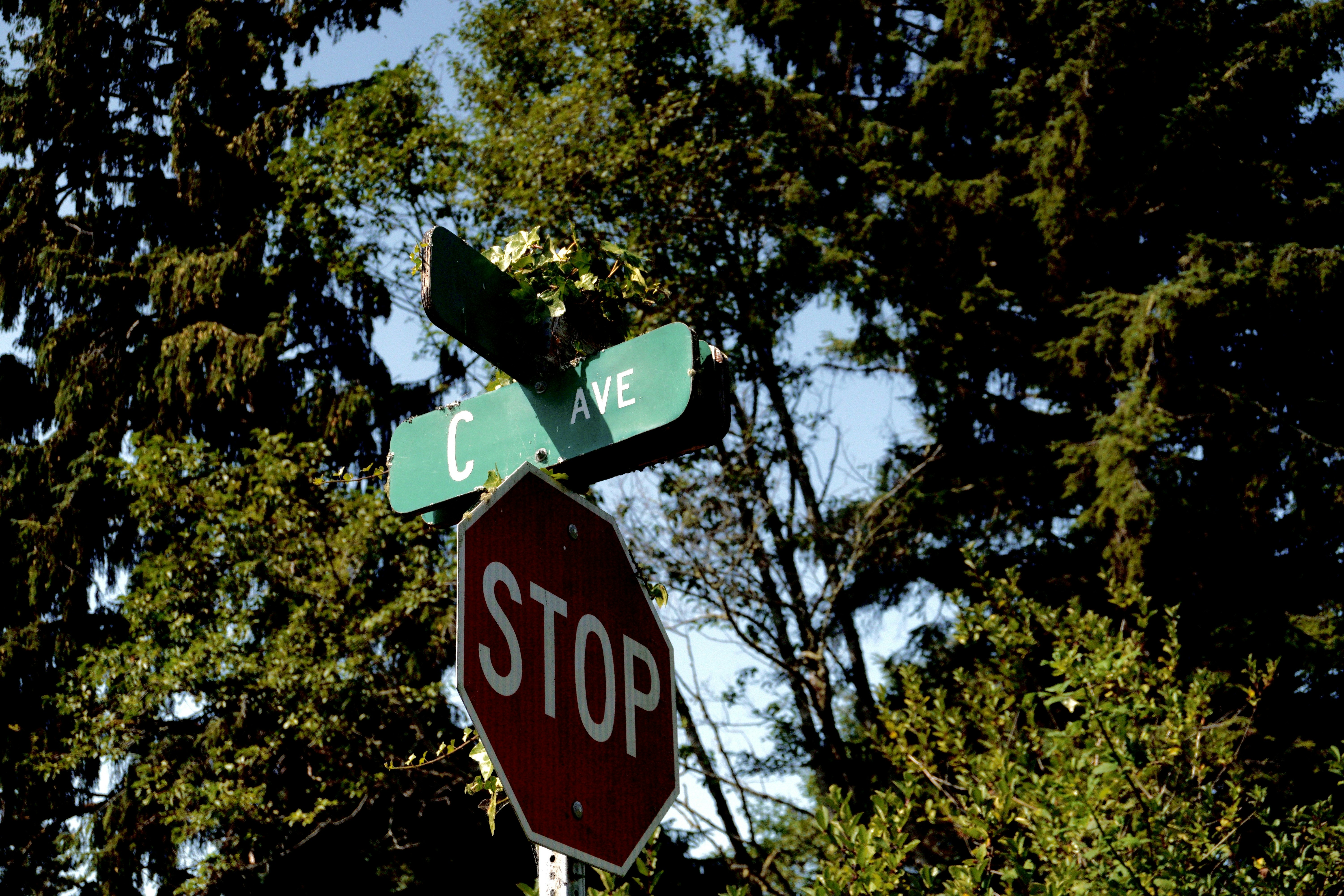 A stop sign with two street signs on top of it